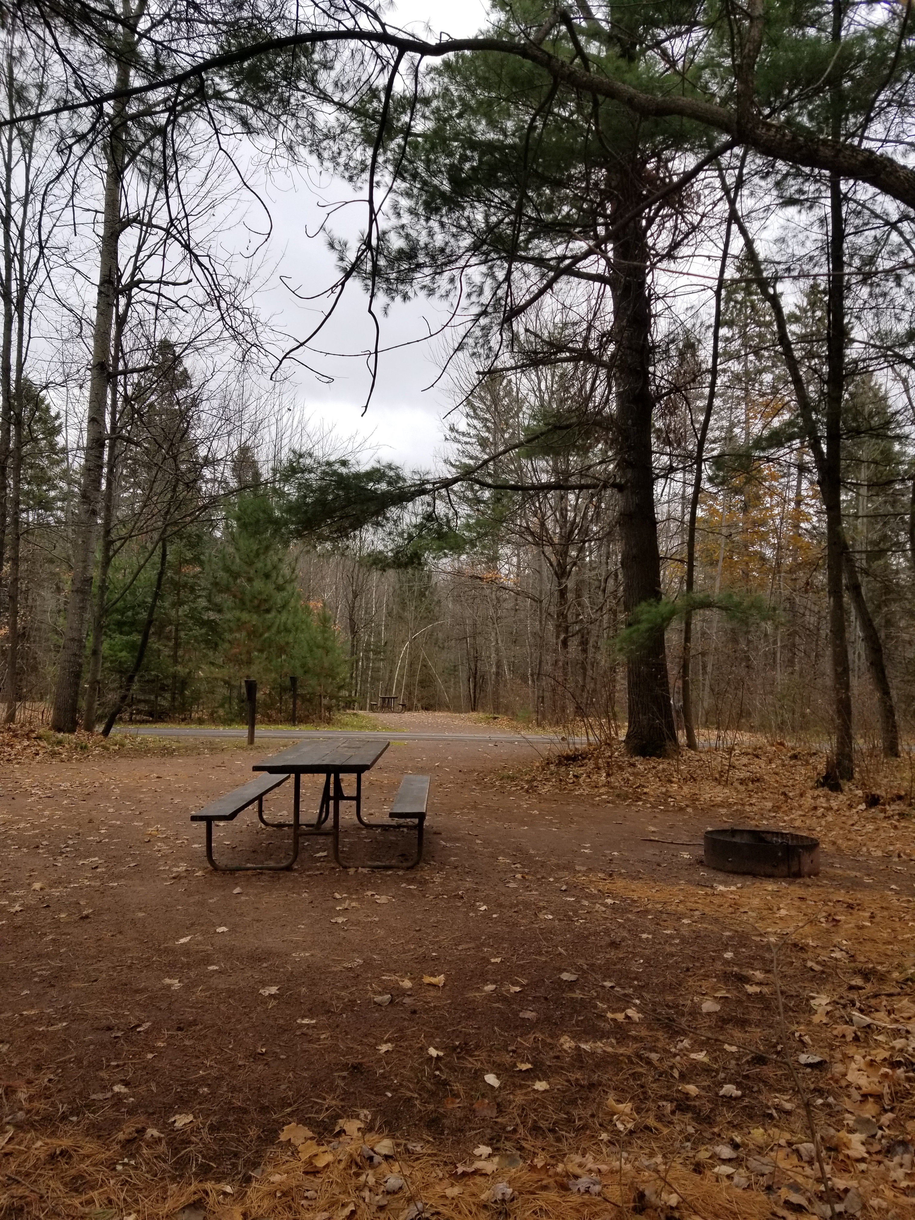 Site 22, photo 3 of 4 · from wisconsin.goingtocamp.com (the park's booking system)
