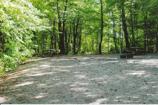 Site 250, photo 2 of 2 · from wisconsin.goingtocamp.com (the park's booking system)
