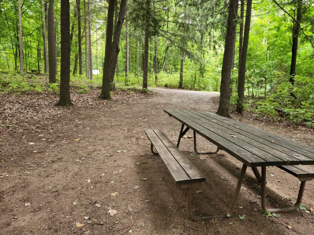 Site 35, photo 2 of 3 · from wisconsin.goingtocamp.com (the park's booking system)