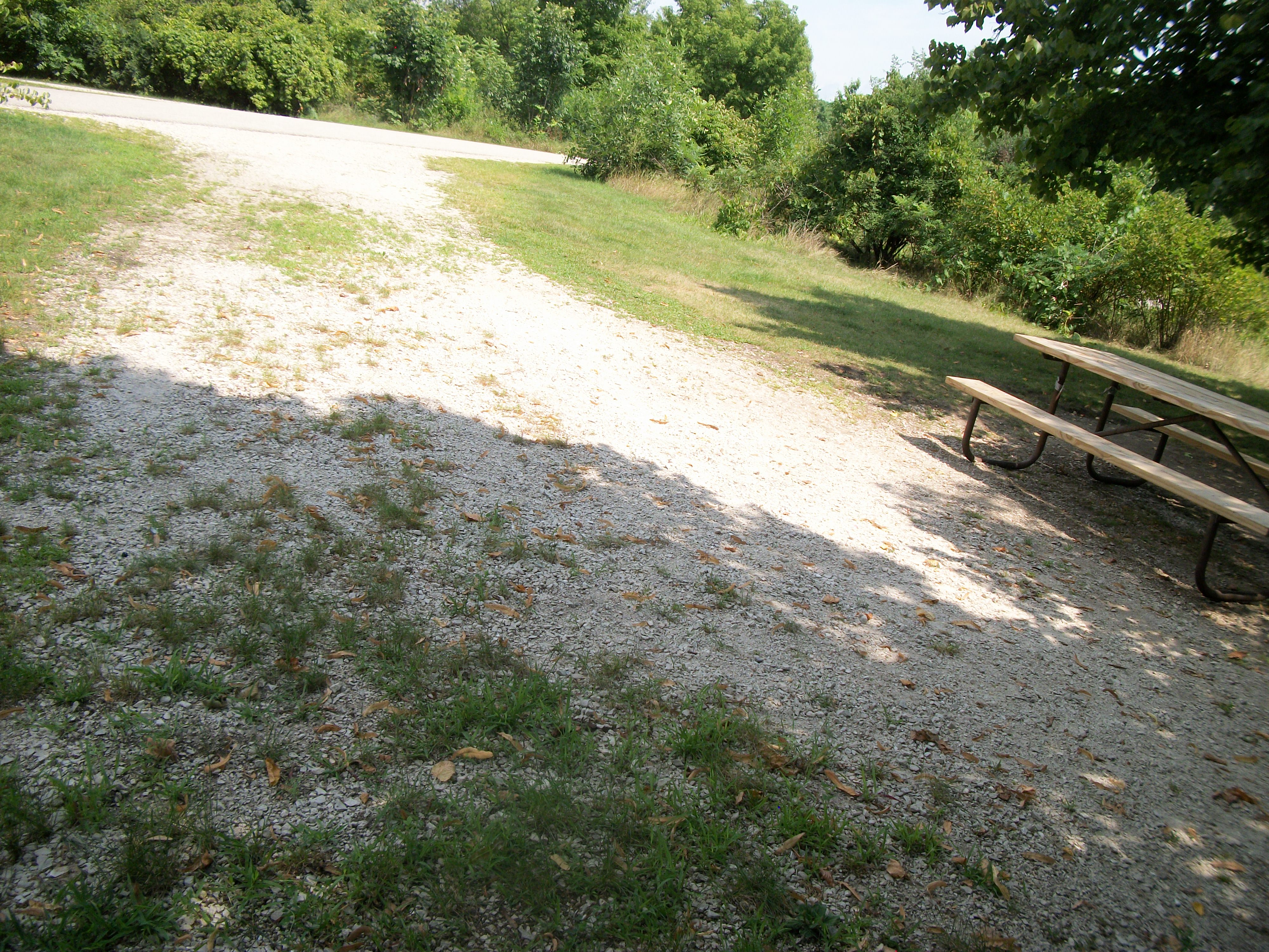 Site 390, photo 3 of 3 · from wisconsin.goingtocamp.com (the park's booking system)