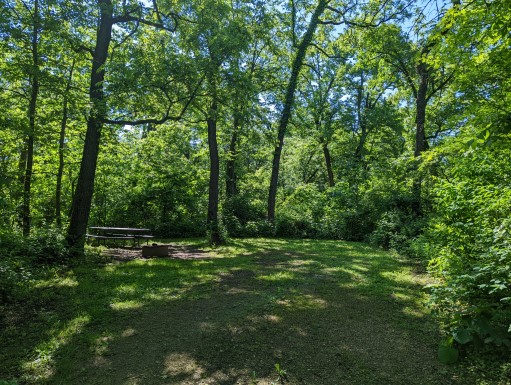 Site 3, photo 3 of 3 · from wisconsin.goingtocamp.com (the park's booking system)