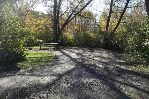 Site 105, photo 2 of 4 · from wisconsin.goingtocamp.com (the park's booking system)