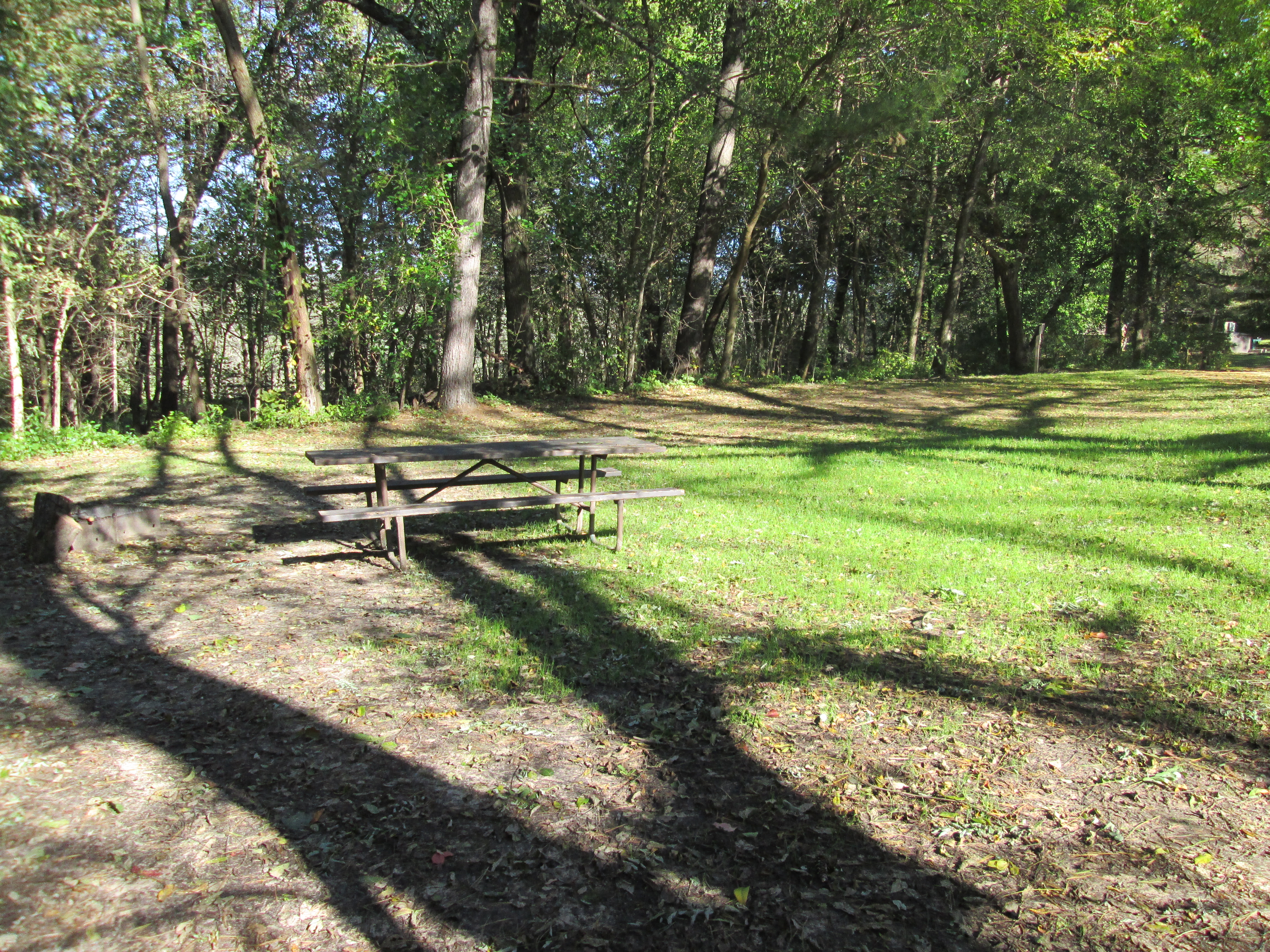 Site 4, photo 3 of 3 · from wisconsin.goingtocamp.com (the park's booking system)