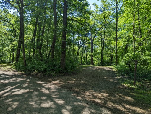 Site 8, photo 3 of 3 · from wisconsin.goingtocamp.com (the park's booking system)