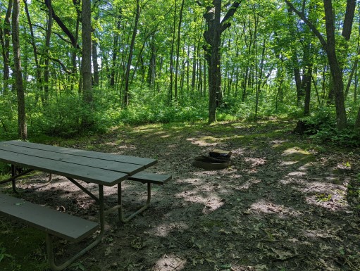 Site 27, photo 3 of 3 · from wisconsin.goingtocamp.com (the park's booking system)