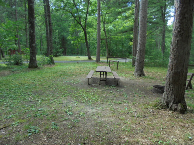 Site 7, photo 3 of 4 · from wisconsin.goingtocamp.com (the park's booking system)