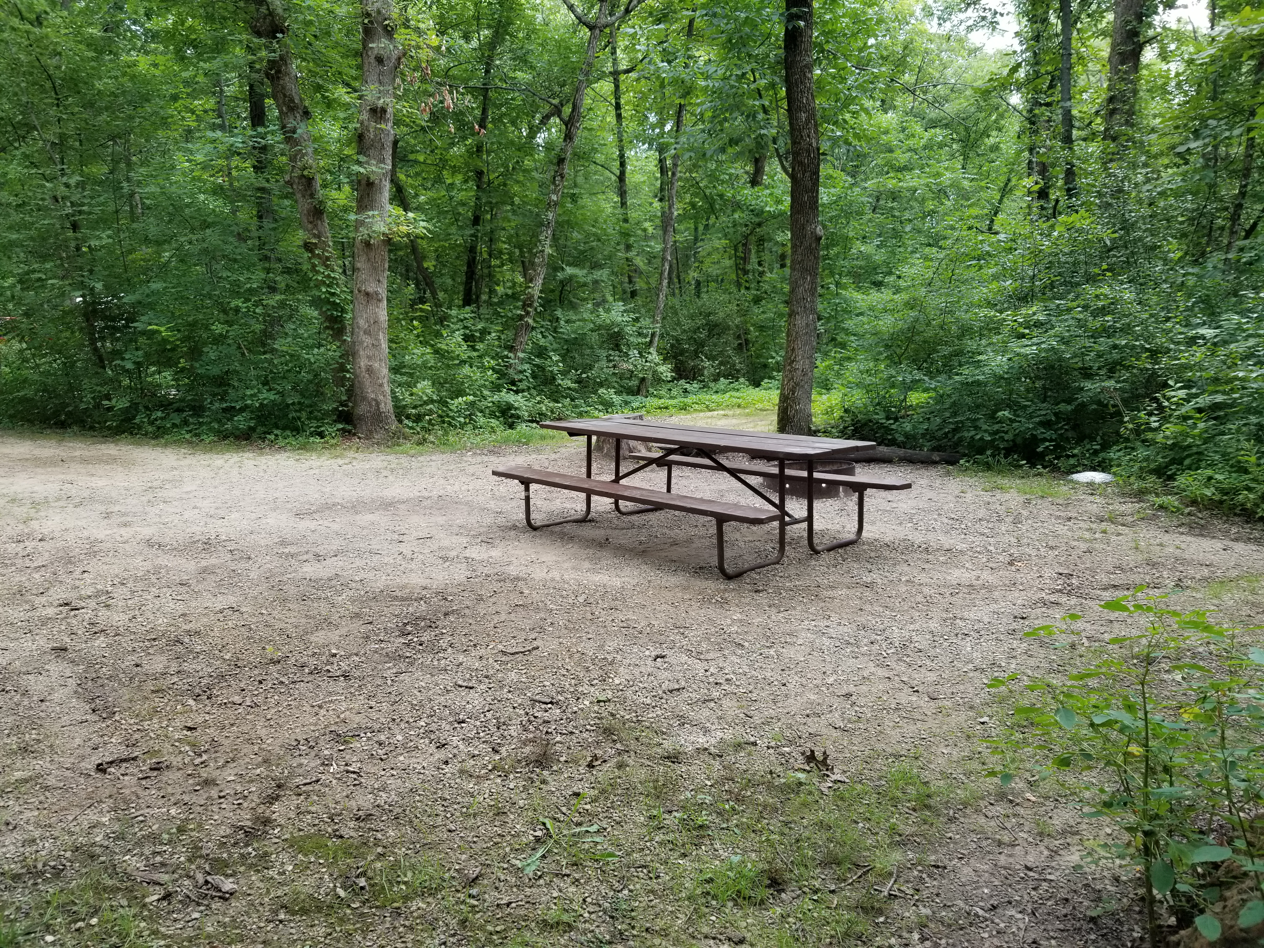 Site 58, photo 3 of 3 · from wisconsin.goingtocamp.com (the park's booking system)