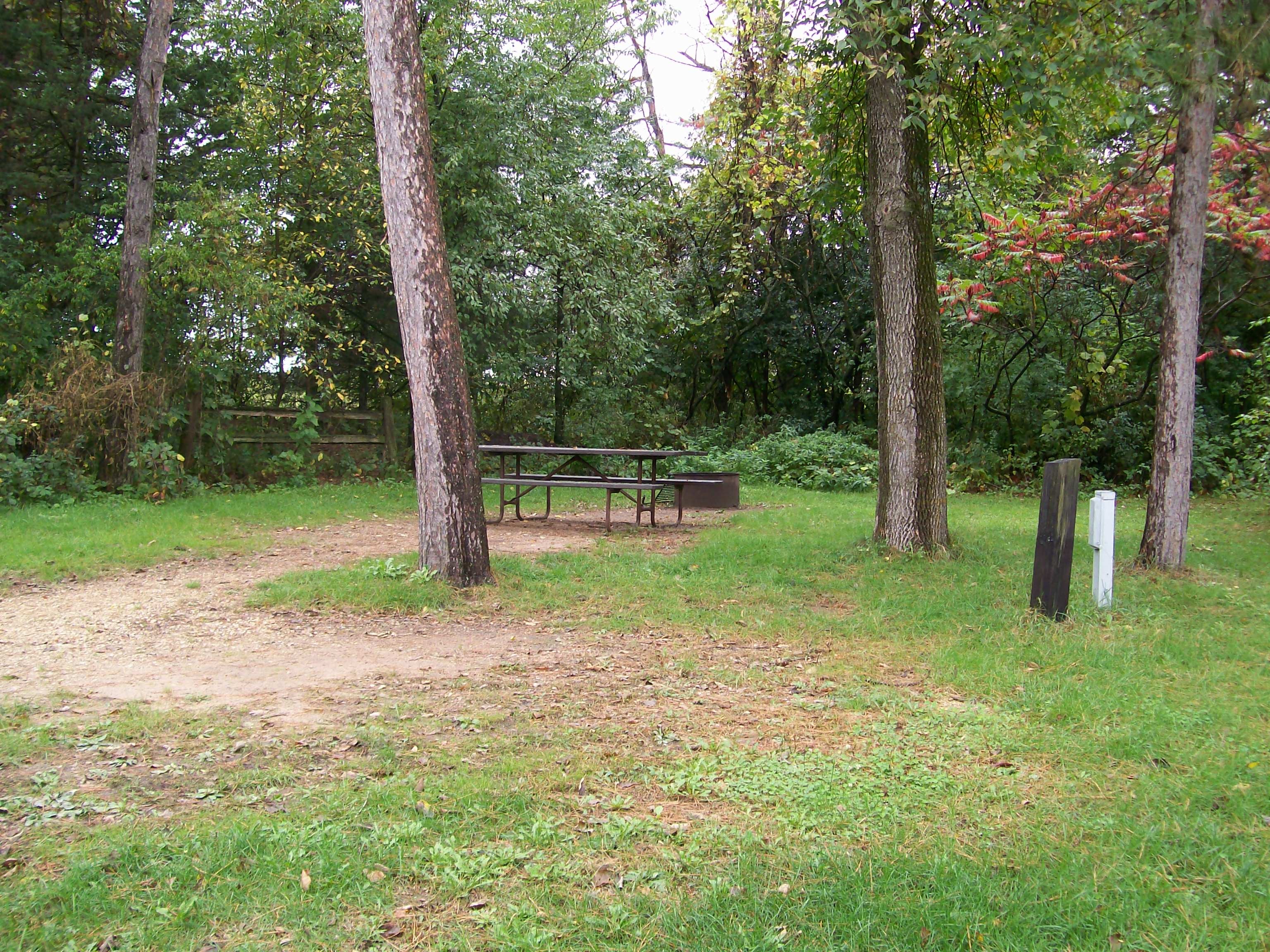 Site 19, photo 2 of 4 · from wisconsin.goingtocamp.com (the park's booking system)
