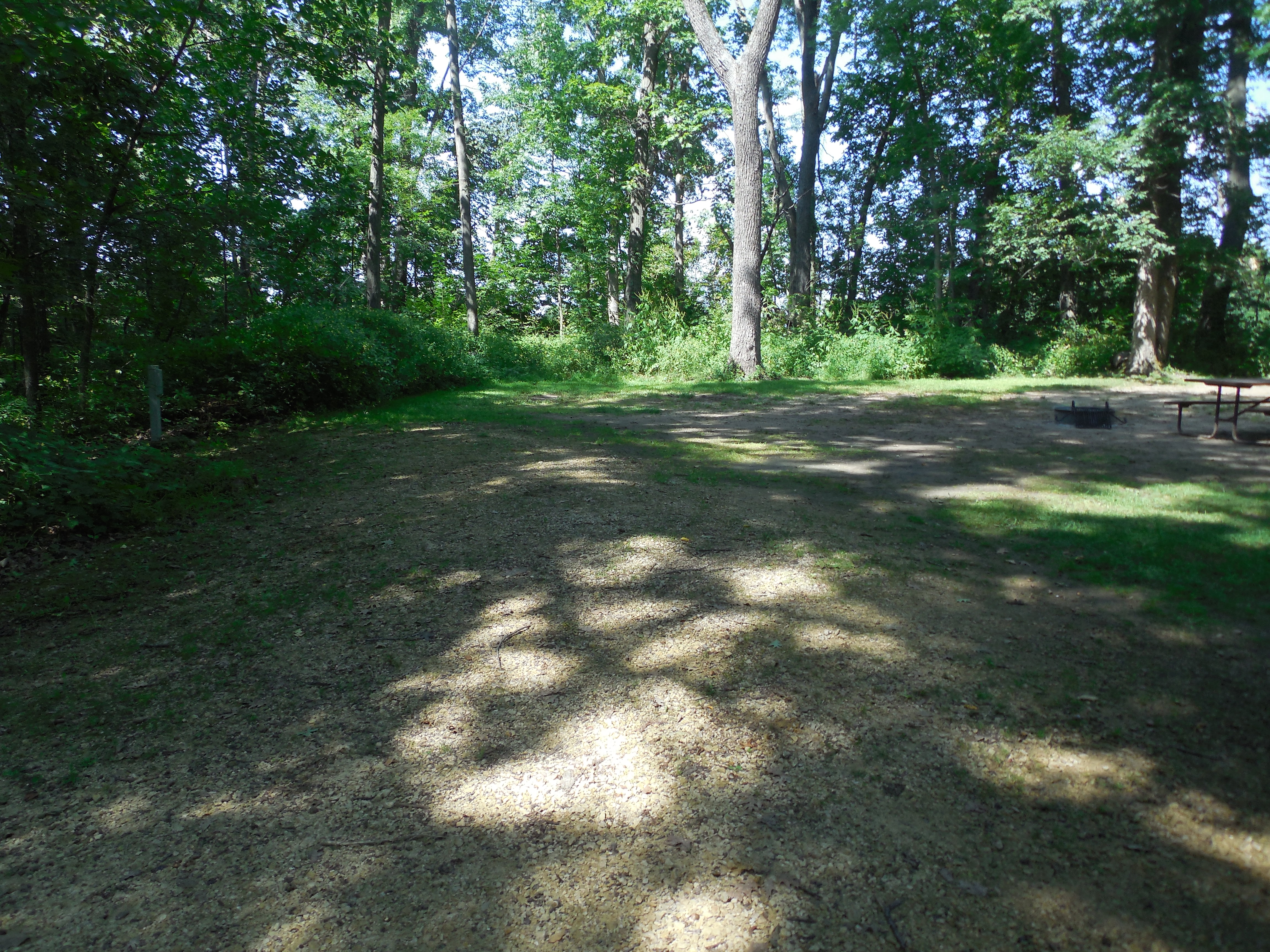 Site 28, photo 2 of 3 · from wisconsin.goingtocamp.com (the park's booking system)