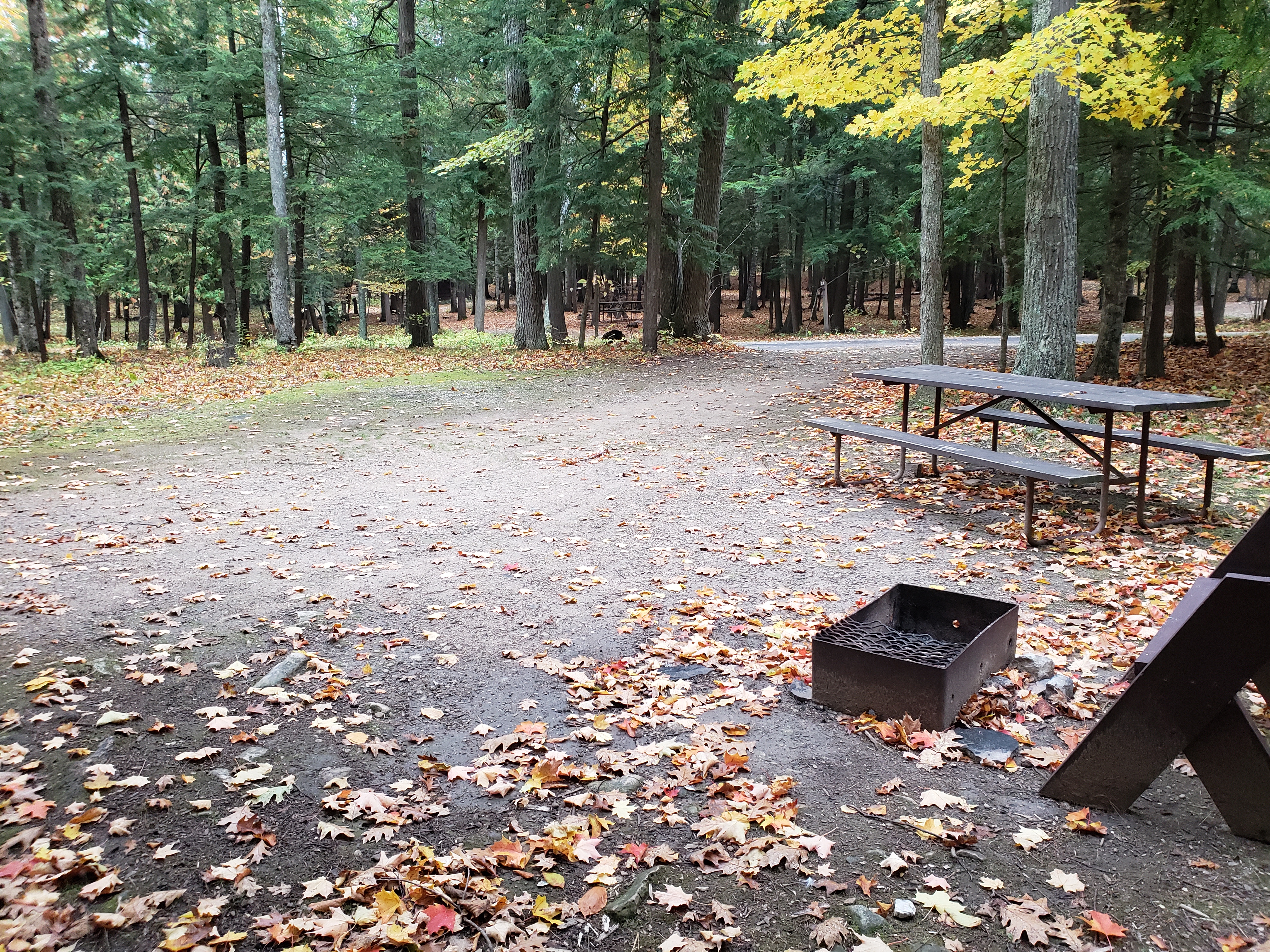 Site 114, photo 3 of 3 · from wisconsin.goingtocamp.com (the park's booking system)