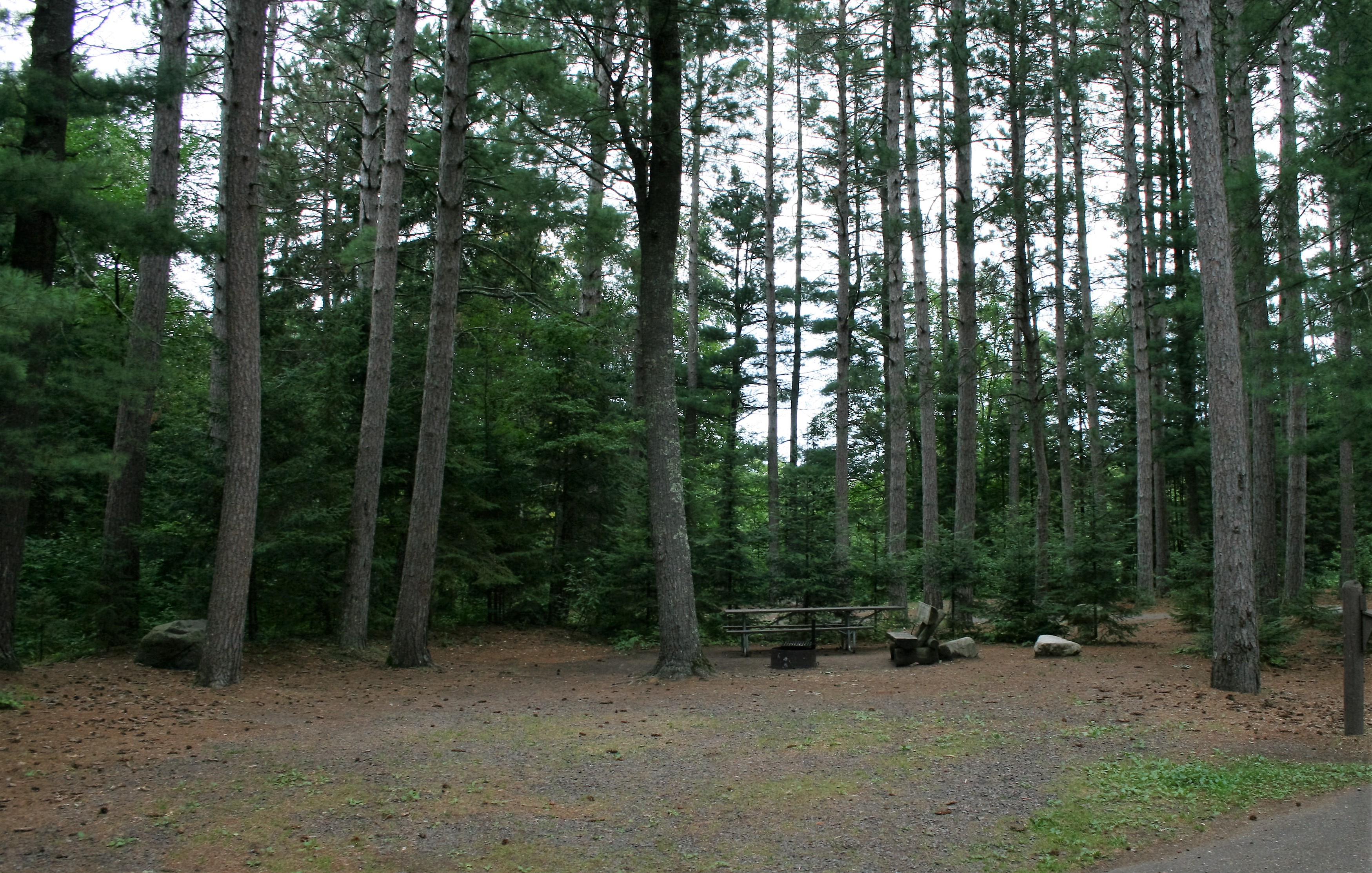 Site 14, photo 2 of 3 · from wisconsin.goingtocamp.com (the park's booking system)
