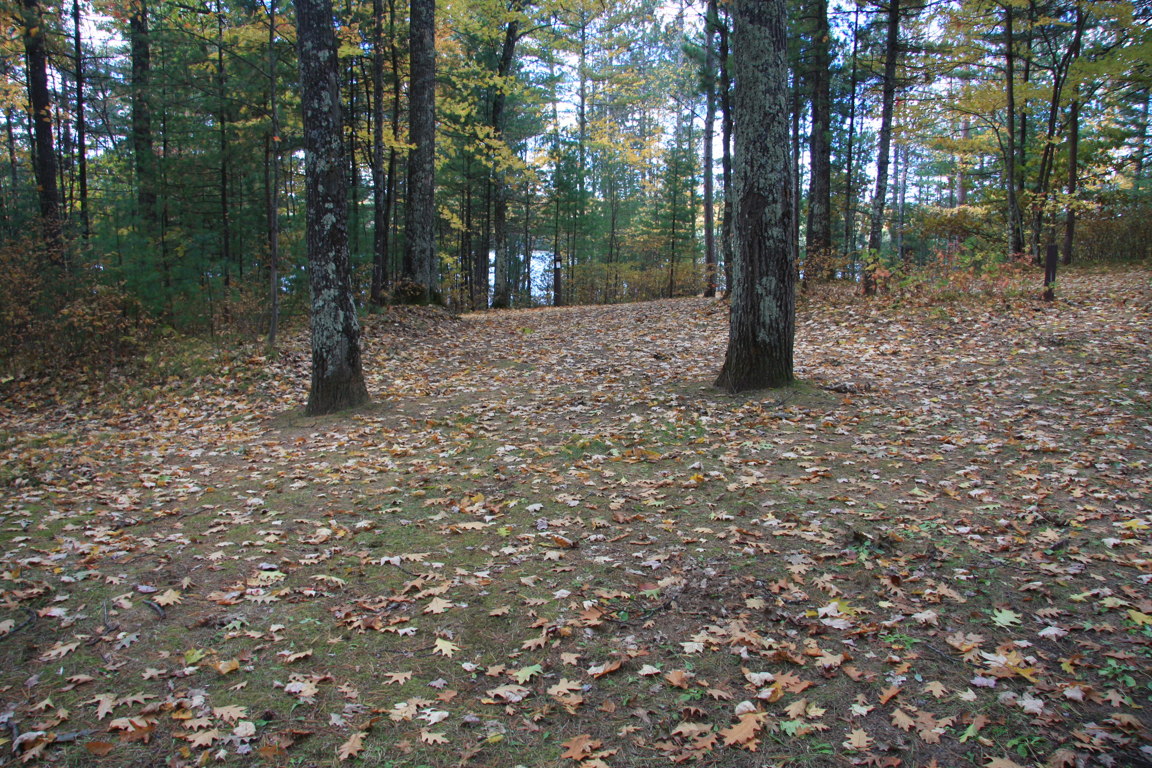 Site 2018, photo 2 of 3 · from wisconsin.goingtocamp.com (the park's booking system)