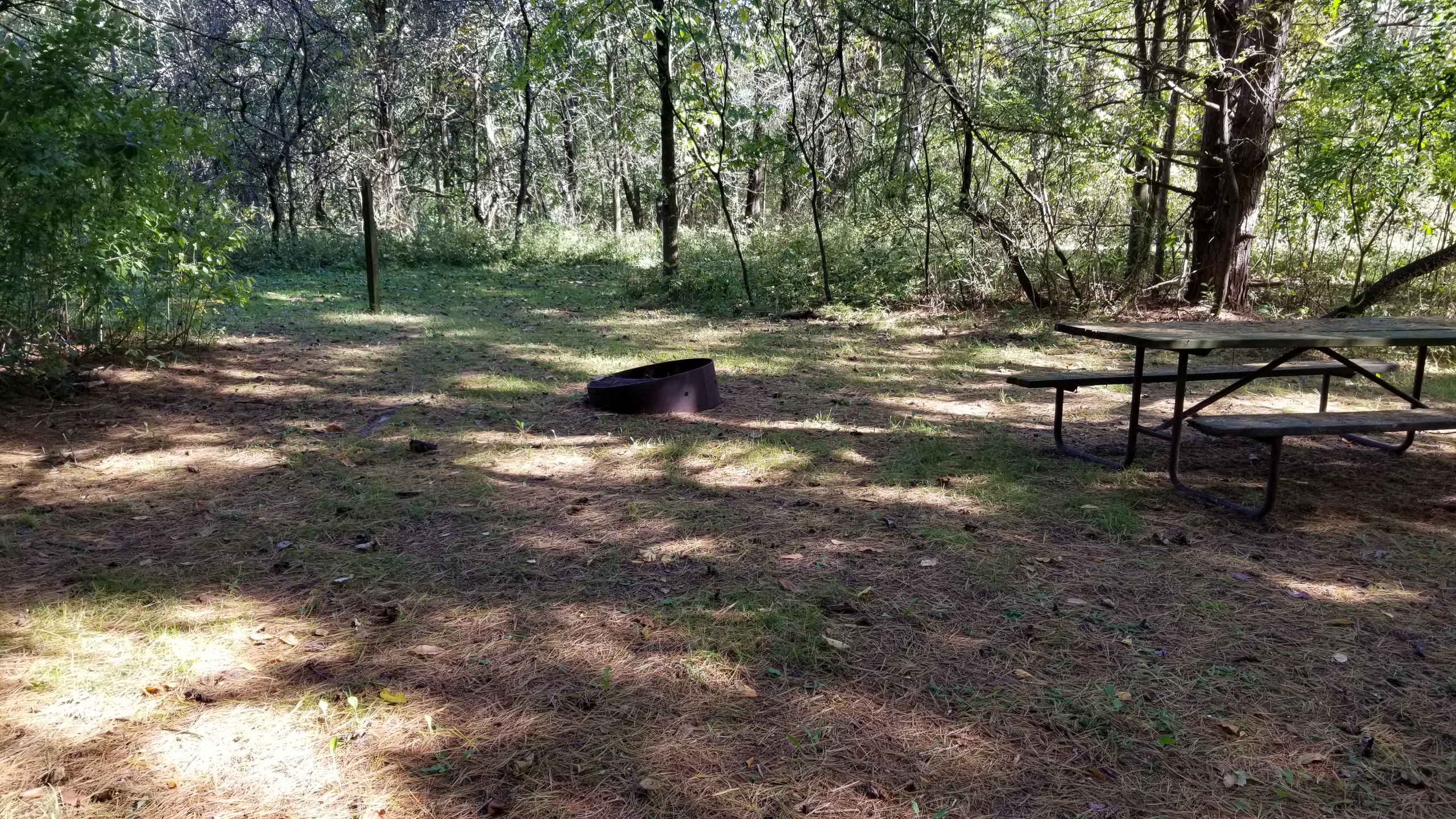 Site 5, photo 2 of 2 · from wisconsin.goingtocamp.com (the park's booking system)