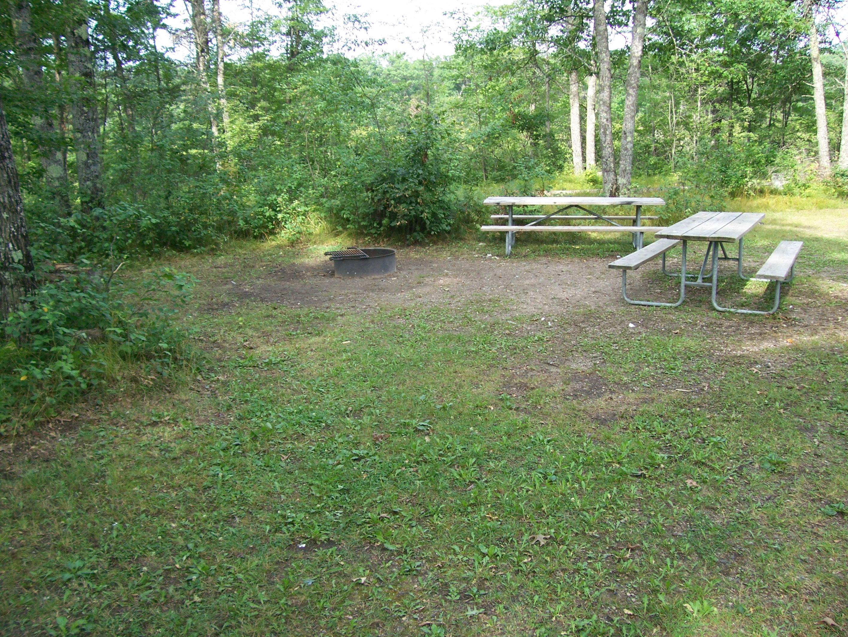 Site 15, photo 2 of 2 · from wisconsin.goingtocamp.com (the park's booking system)