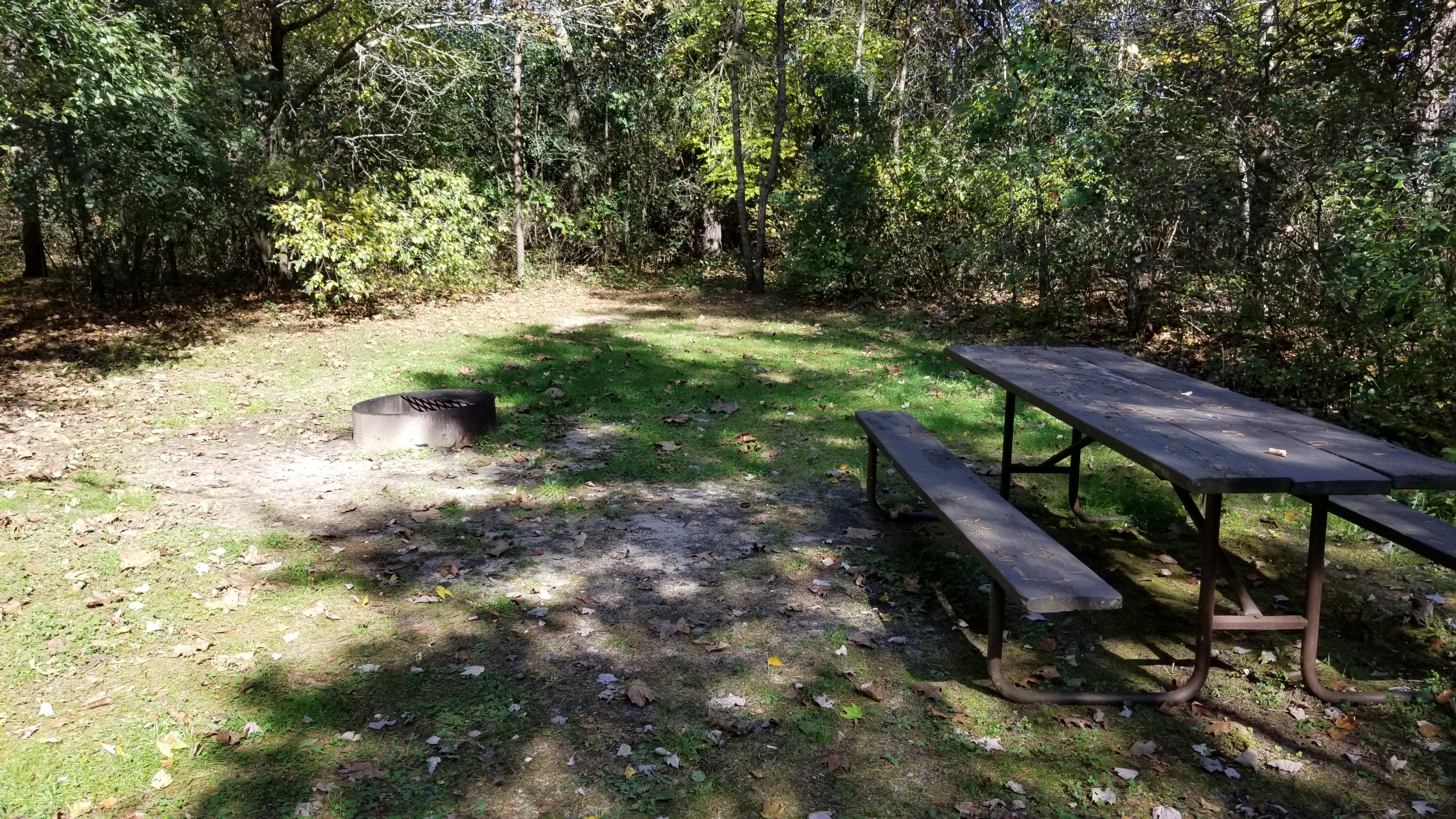 Site 104, photo 2 of 3 · from wisconsin.goingtocamp.com (the park's booking system)