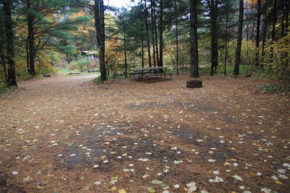 Site 501, photo 3 of 3 · from wisconsin.goingtocamp.com (the park's booking system)