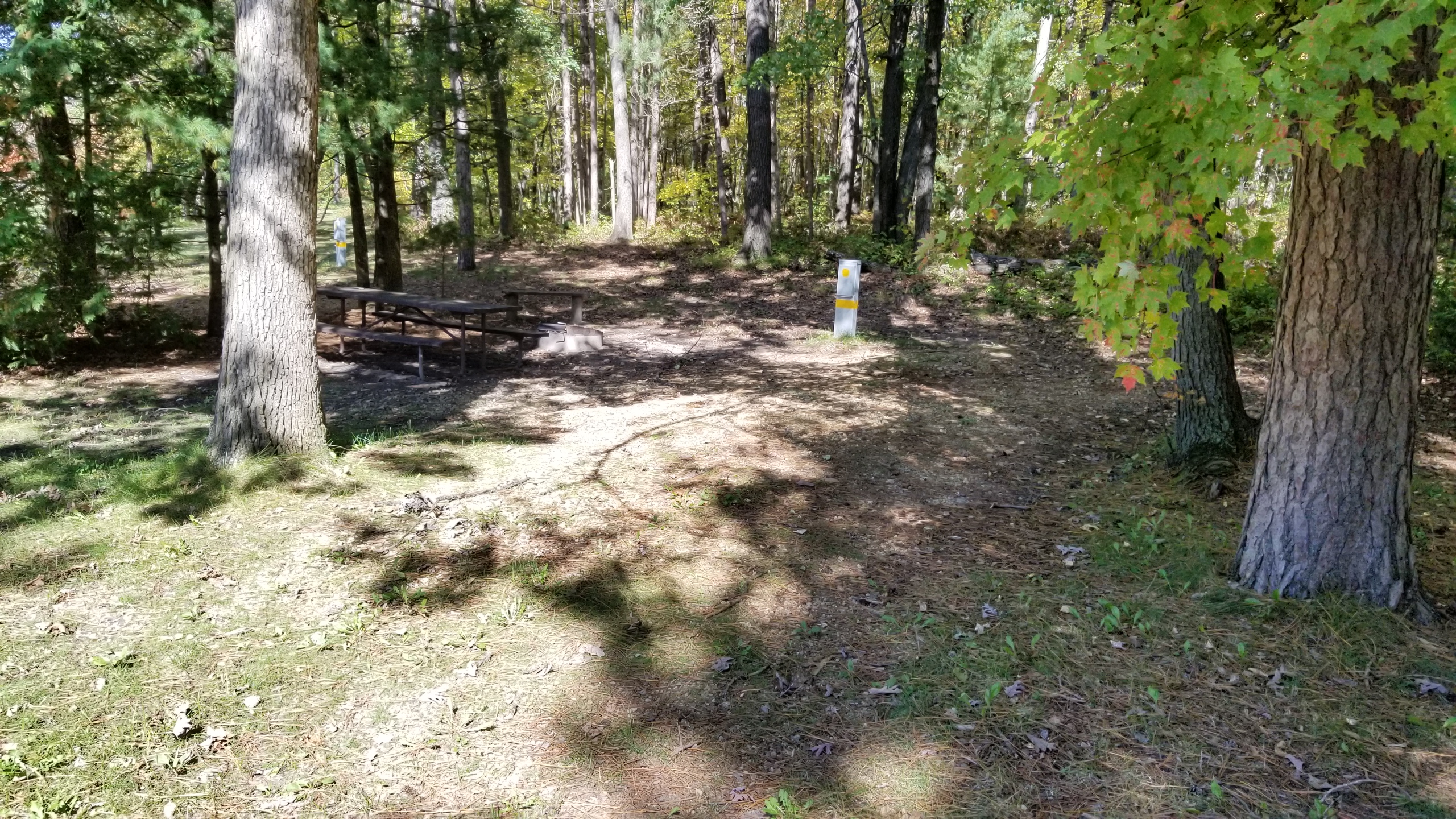 Site 21, photo 2 of 4 · from wisconsin.goingtocamp.com (the park's booking system)