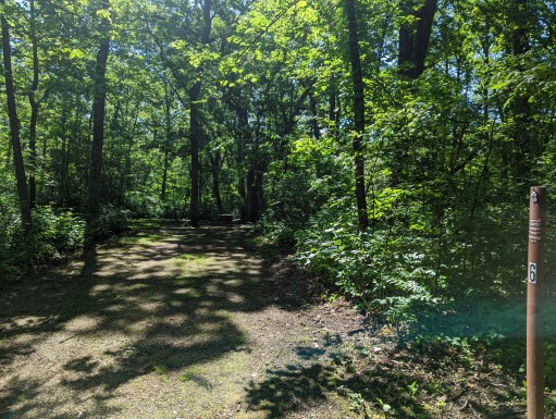Site 6, photo 2 of 3 · from wisconsin.goingtocamp.com (the park's booking system)