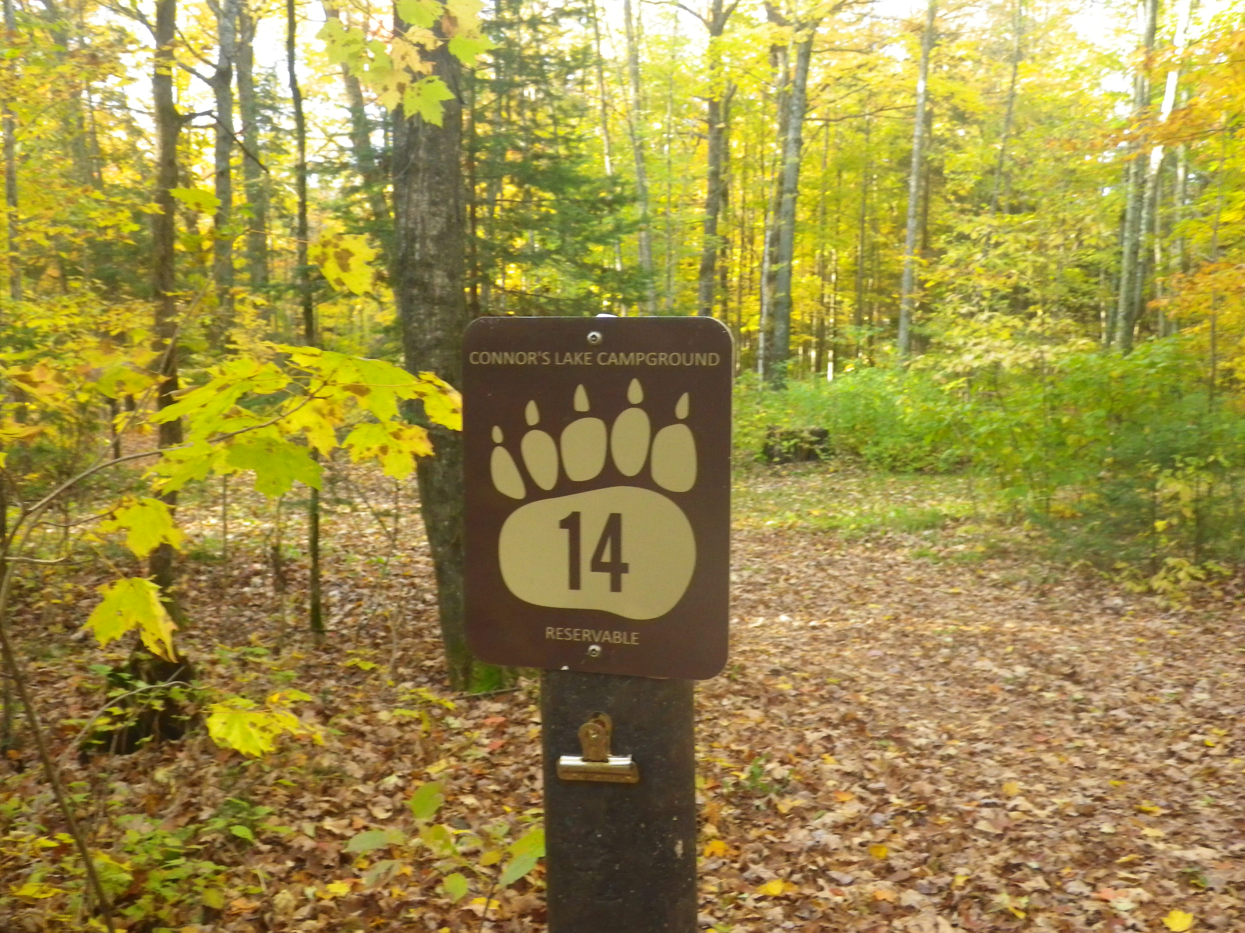 Site 14, photo 2 of 4 · from wisconsin.goingtocamp.com (the park's booking system)