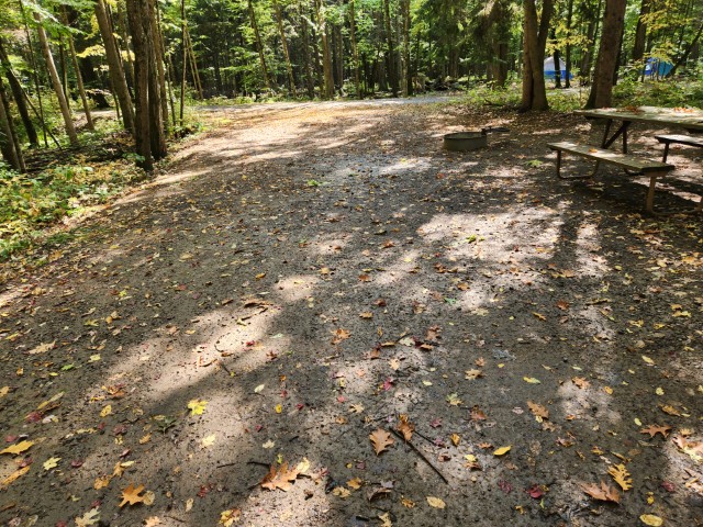 Site 48, photo 2 of 3 · from wisconsin.goingtocamp.com (the park's booking system)
