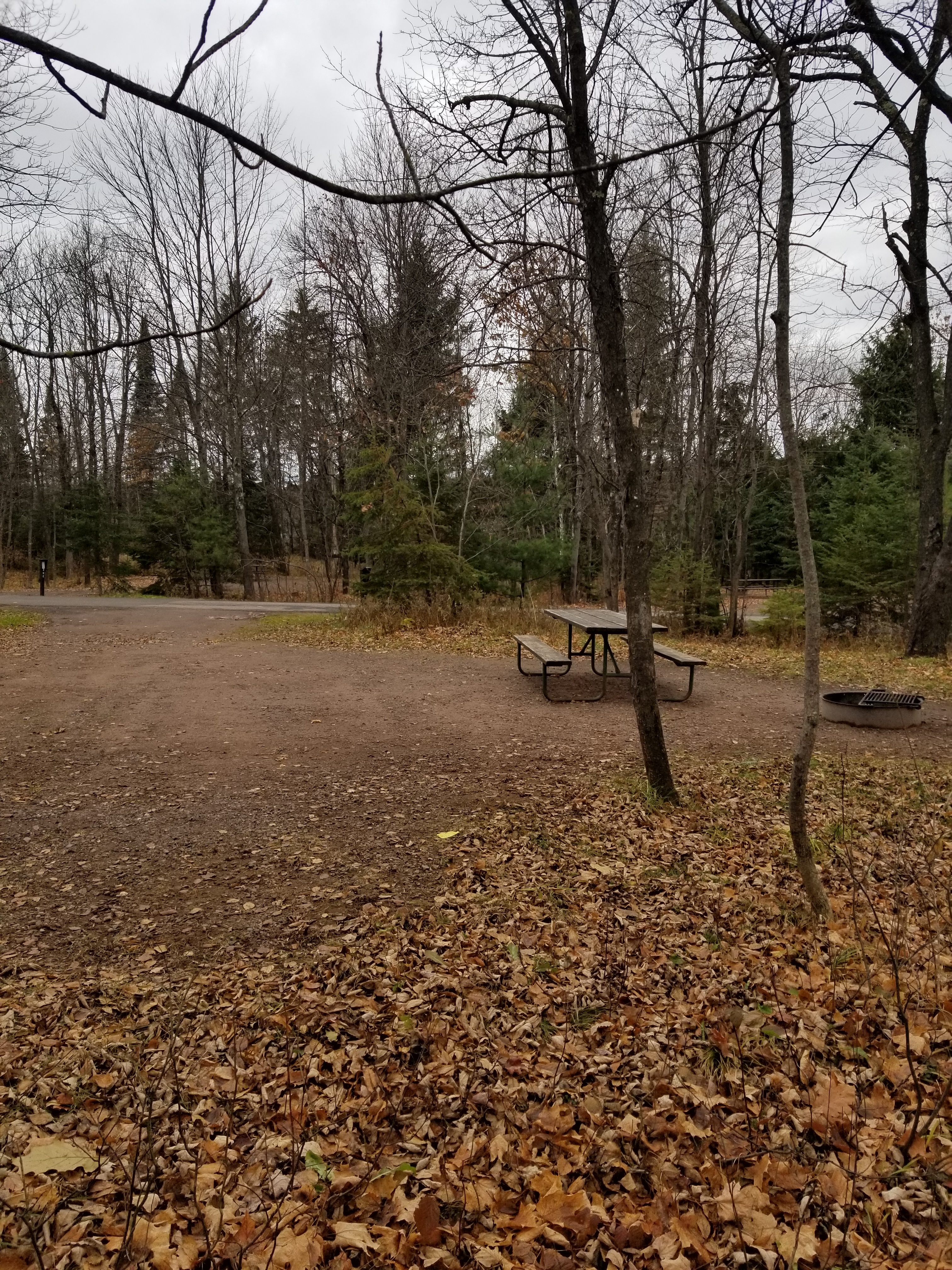 Site 2, photo 3 of 4 · from wisconsin.goingtocamp.com (the park's booking system)