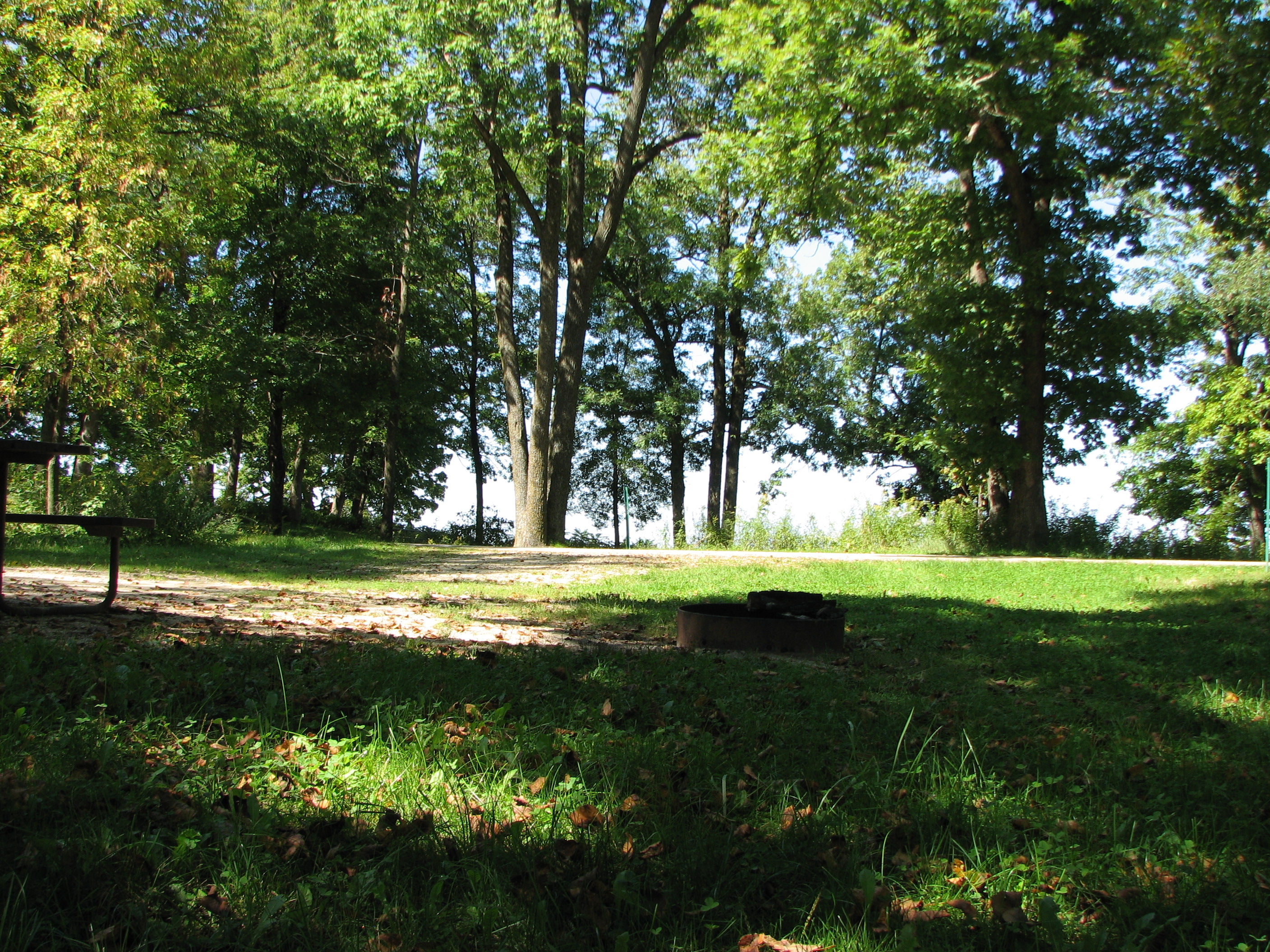 Site 147, photo 2 of 2 · from wisconsin.goingtocamp.com (the park's booking system)