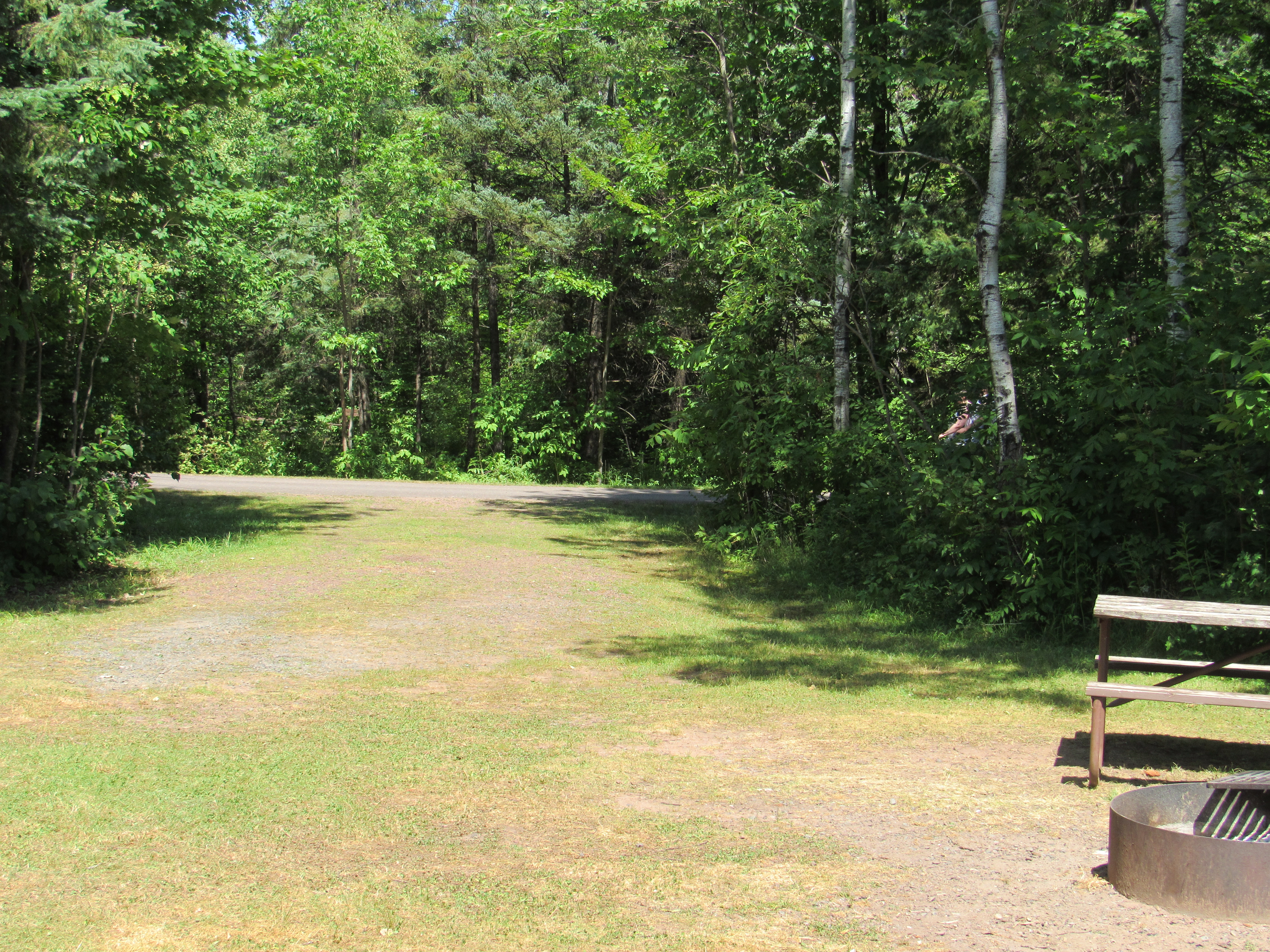 Site 3, photo 3 of 3 · from wisconsin.goingtocamp.com (the park's booking system)
