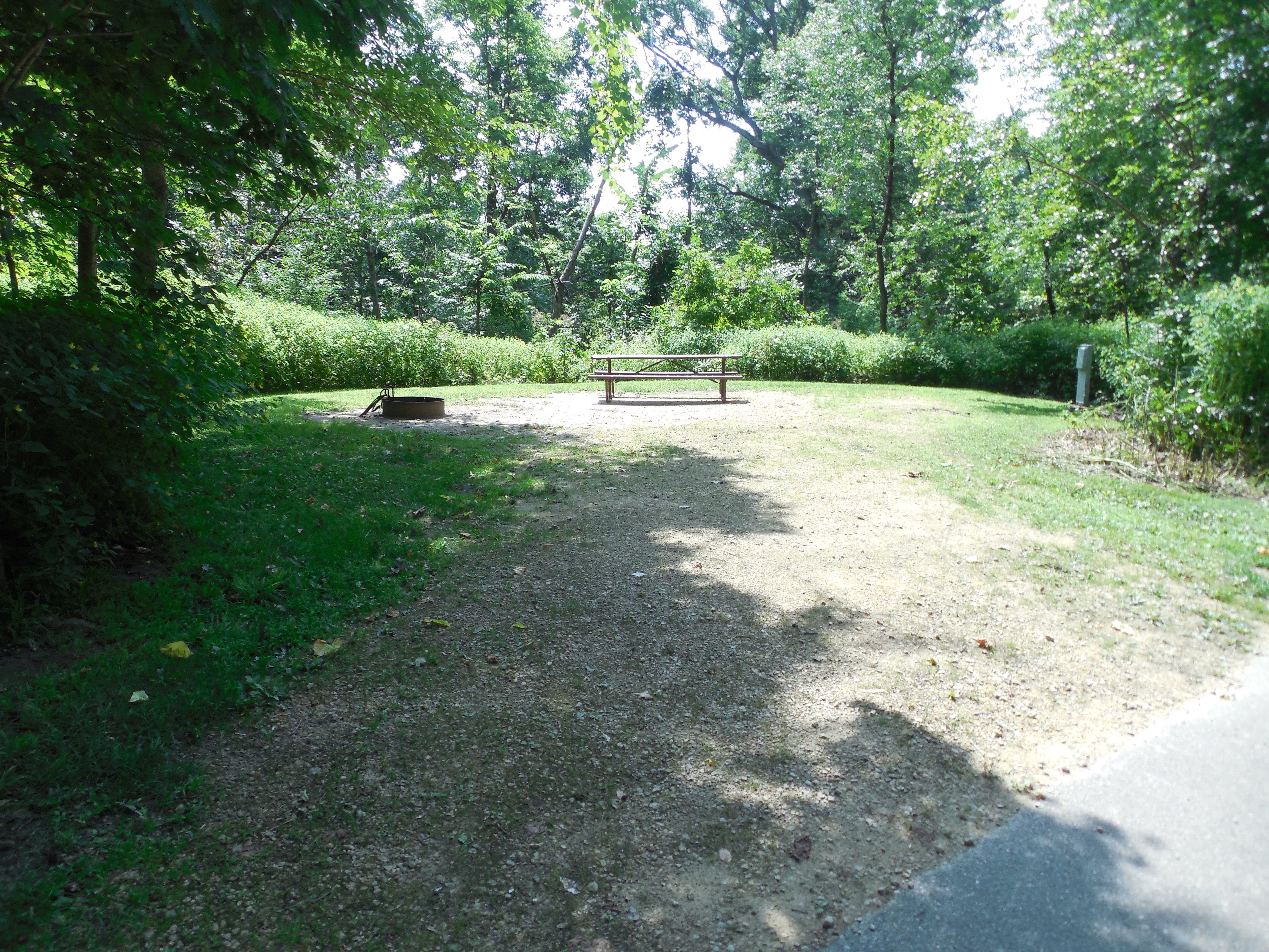 Site 21, photo 2 of 3 · from wisconsin.goingtocamp.com (the park's booking system)