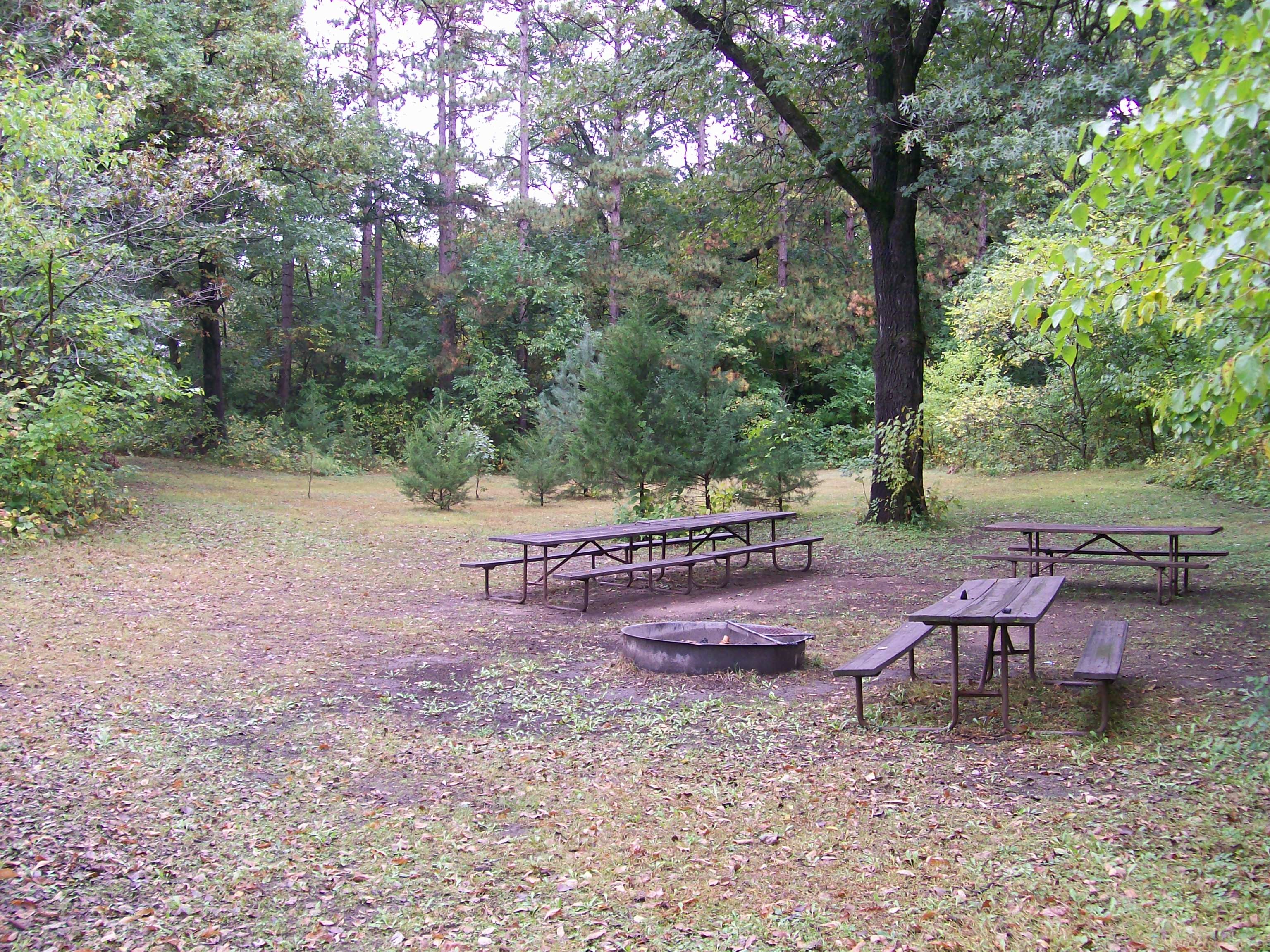 Site B, photo 2 of 5 · from wisconsin.goingtocamp.com (the park's booking system)