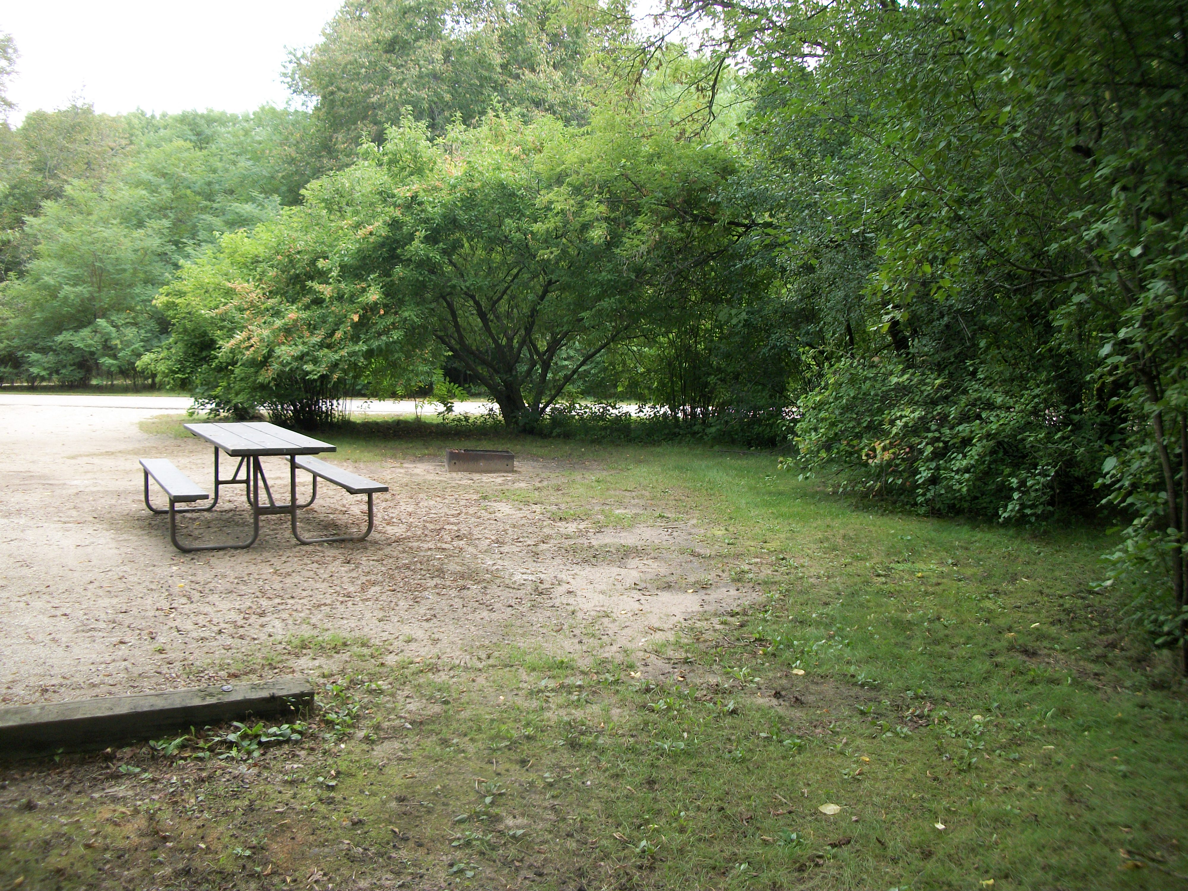 Site 314, photo 3 of 6 · from wisconsin.goingtocamp.com (the park's booking system)