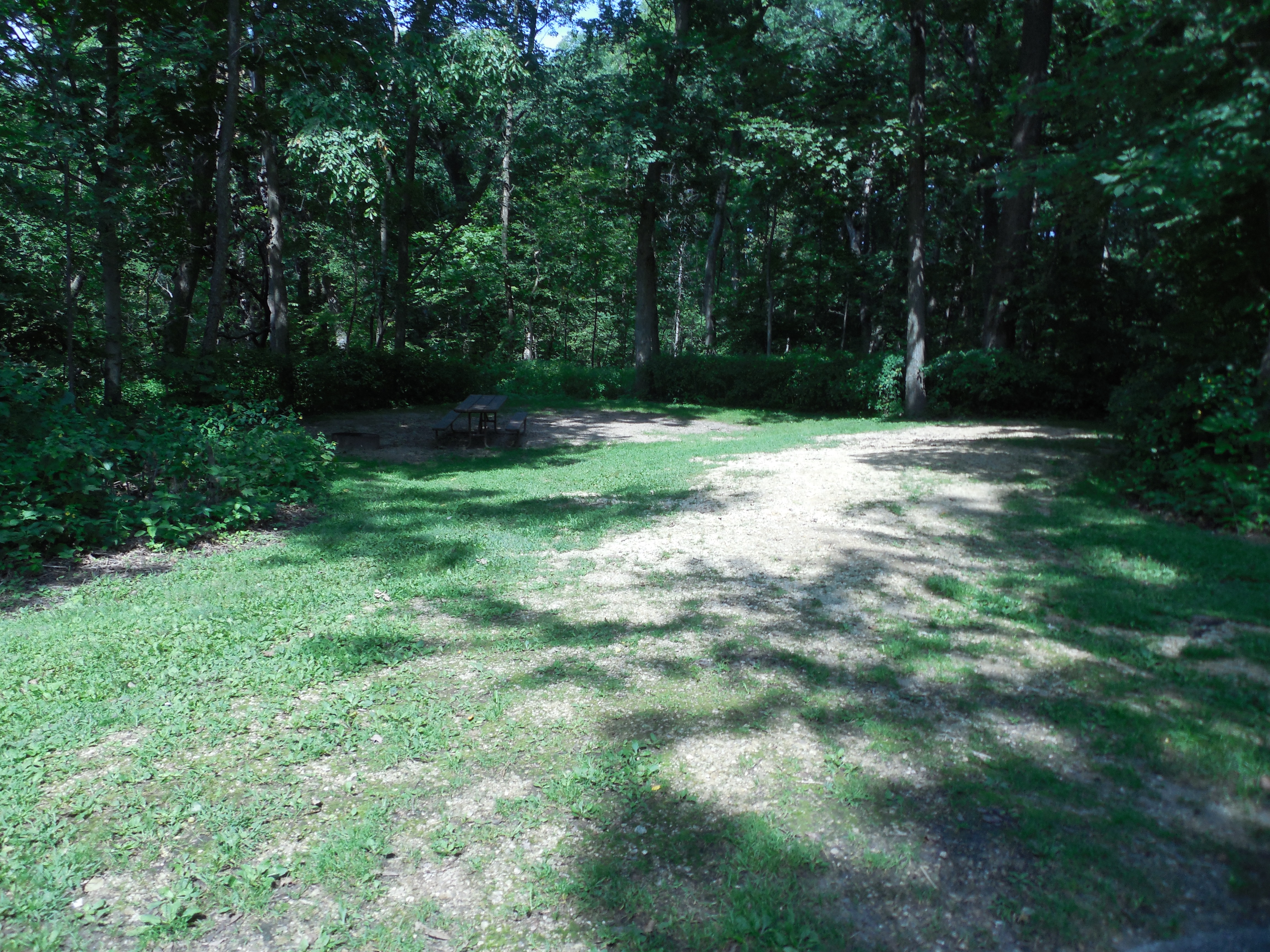 Site 14, photo 2 of 3 · from wisconsin.goingtocamp.com (the park's booking system)