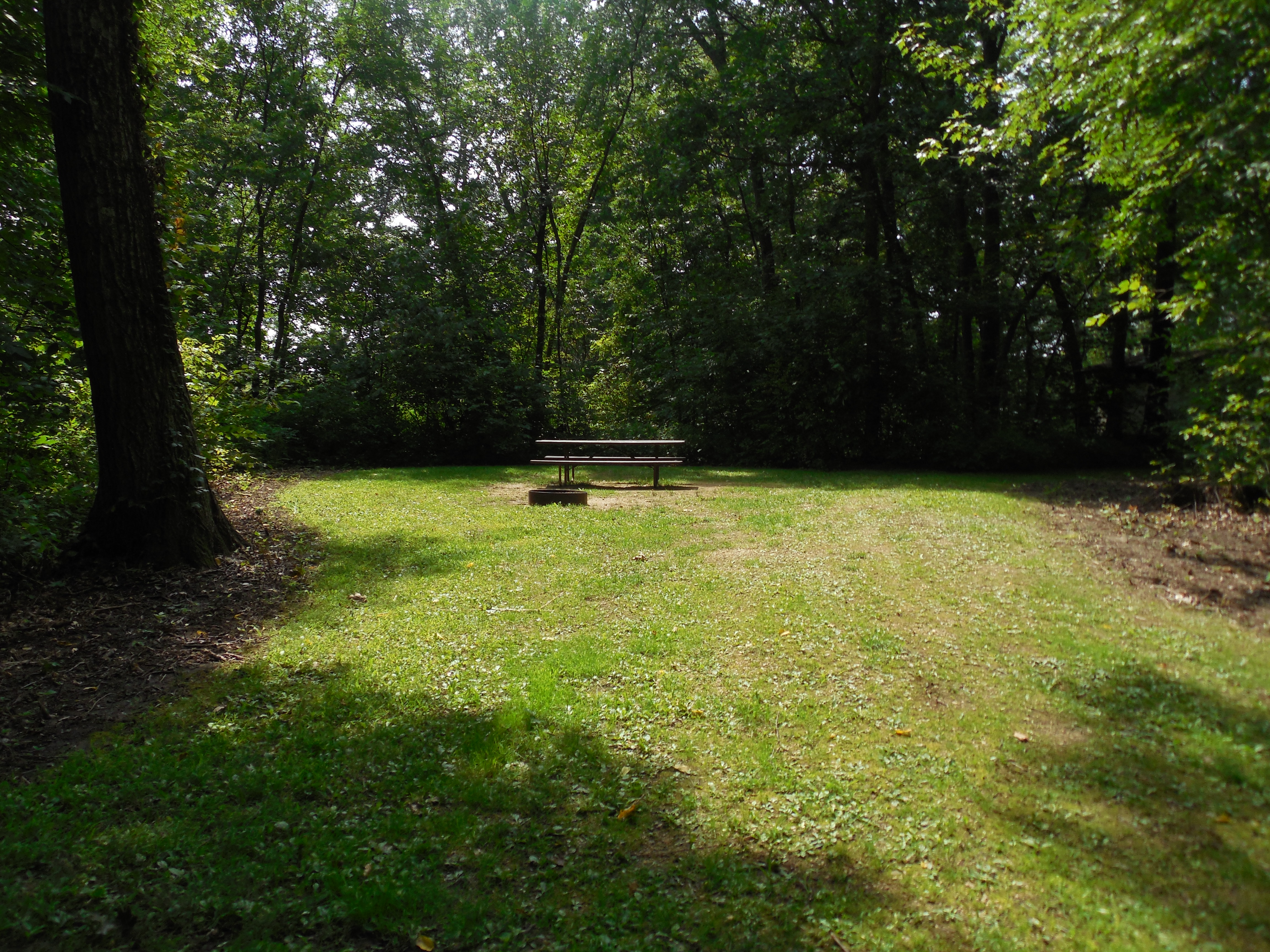 Site 35, photo 2 of 3 · from wisconsin.goingtocamp.com (the park's booking system)