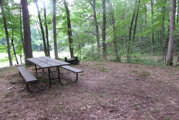 Site 5, photo 3 of 4 · from wisconsin.goingtocamp.com (the park's booking system)