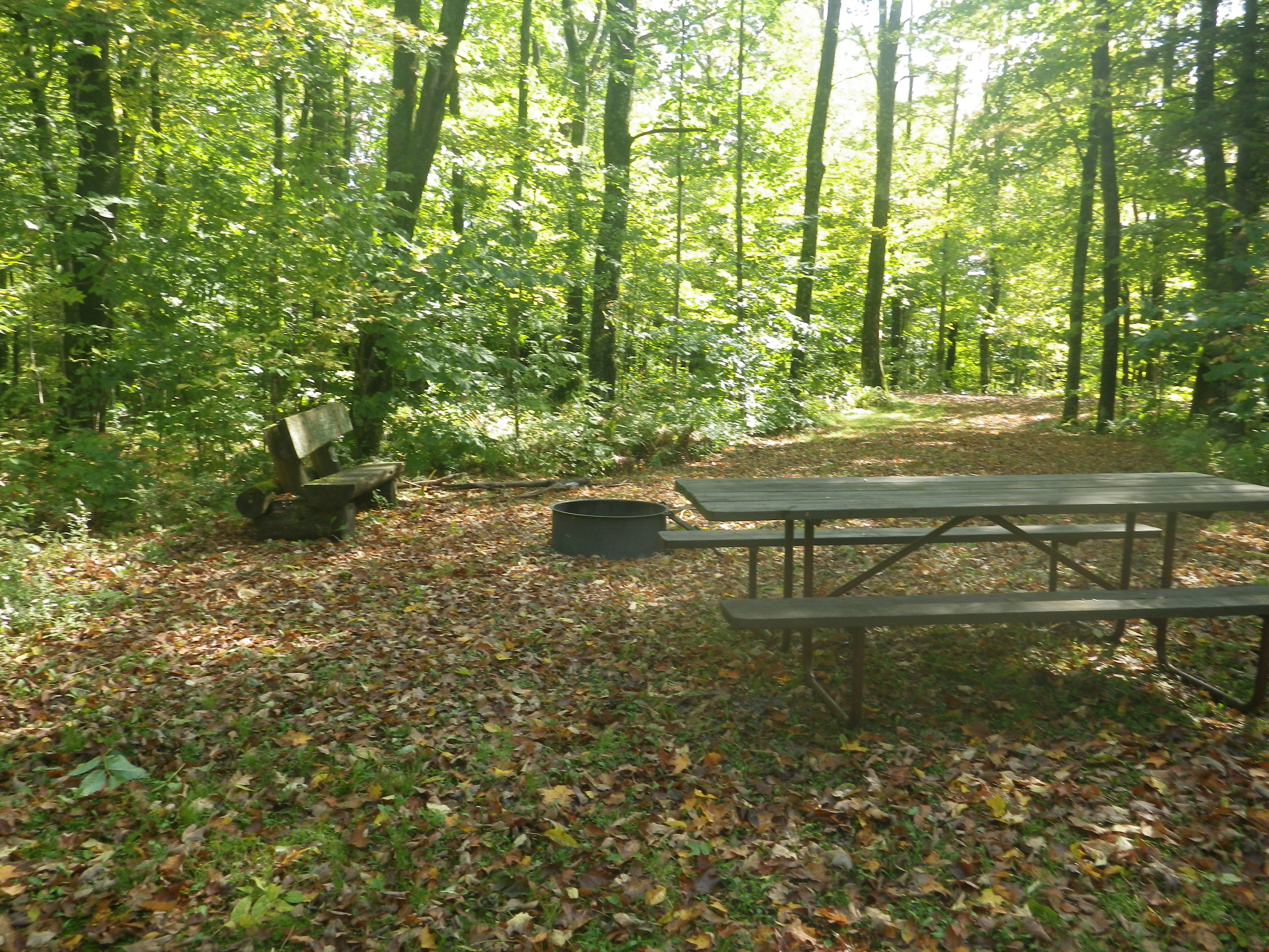 Site 110, photo 3 of 3 · from wisconsin.goingtocamp.com (the park's booking system)