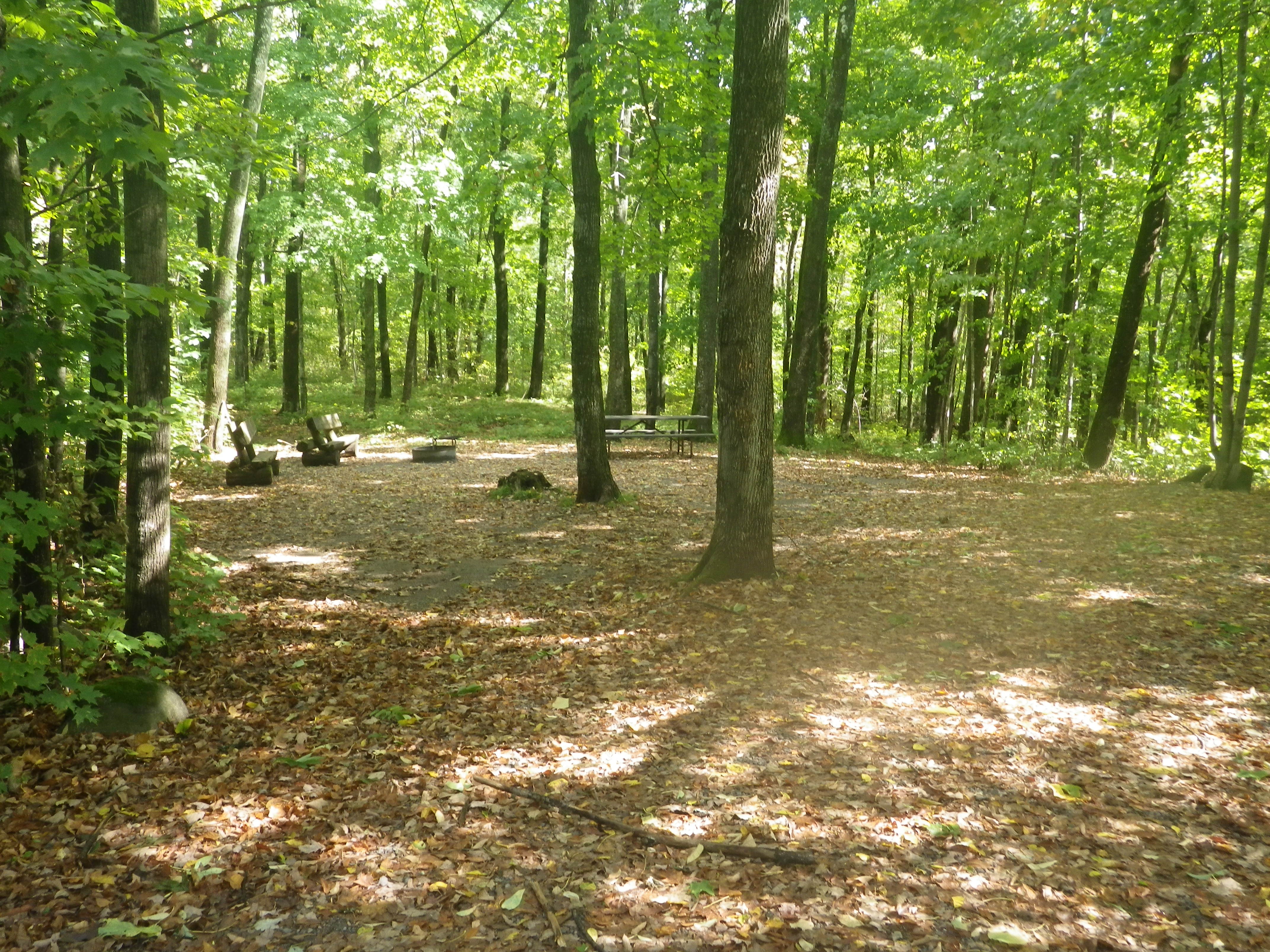 Site 117, photo 2 of 3 · from wisconsin.goingtocamp.com (the park's booking system)