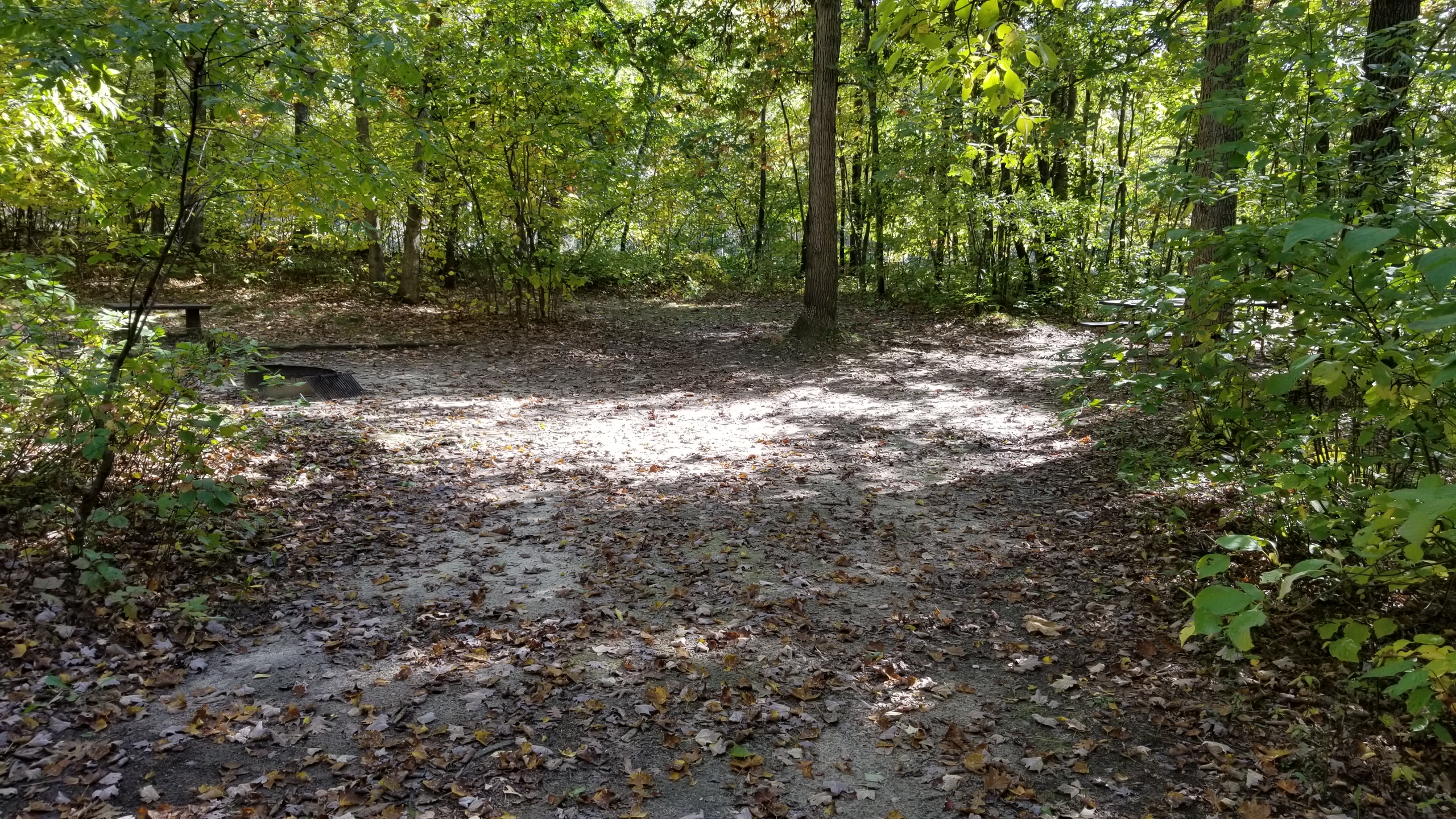 Site 4, photo 2 of 4 · from wisconsin.goingtocamp.com (the park's booking system)