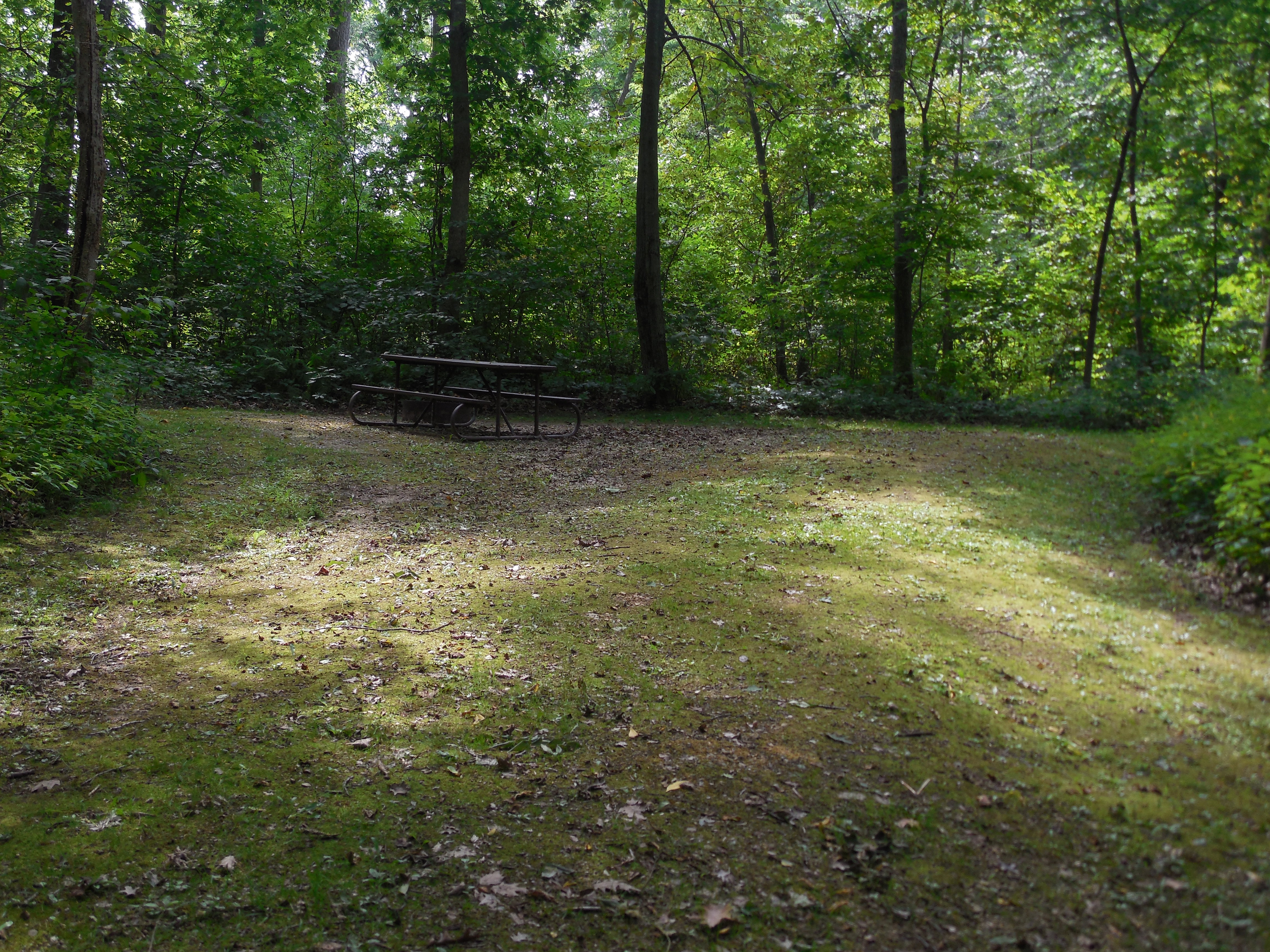 Site 37, photo 2 of 3 · from wisconsin.goingtocamp.com (the park's booking system)