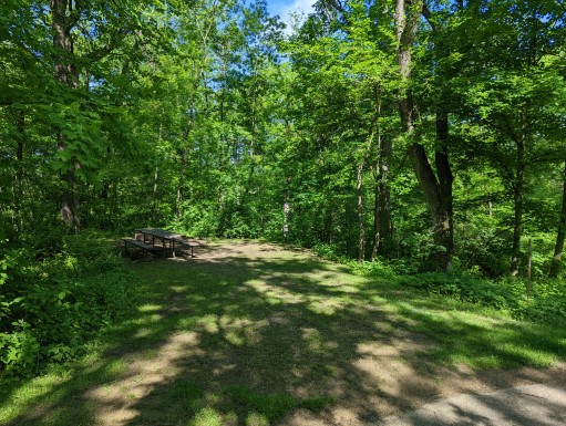Site 15, photo 3 of 3 · from wisconsin.goingtocamp.com (the park's booking system)