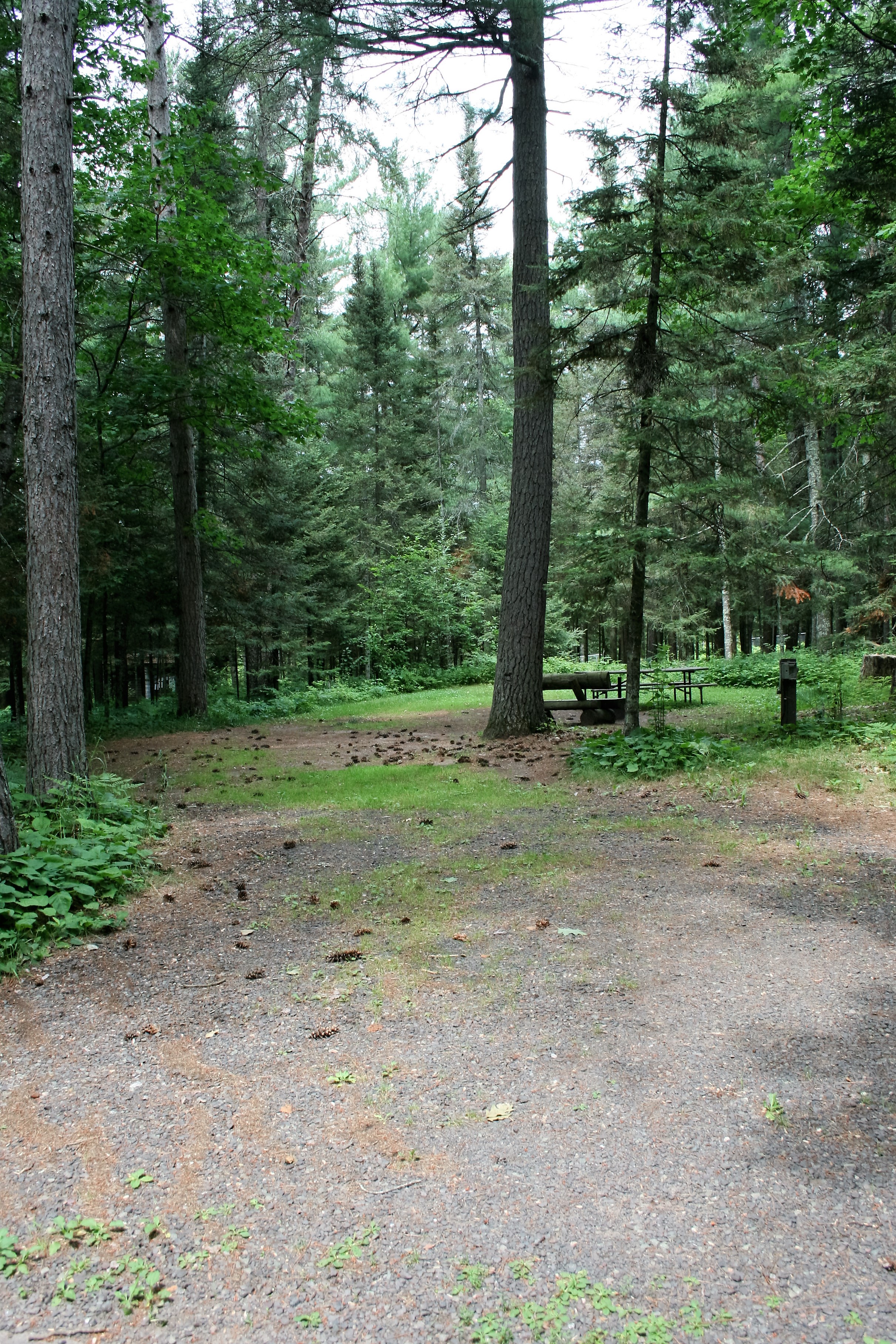 Site 41, photo 2 of 3 · from wisconsin.goingtocamp.com (the park's booking system)