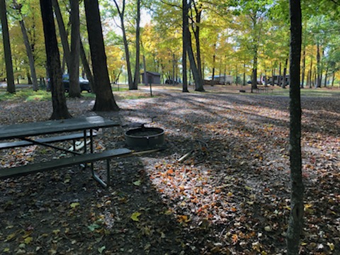 Site 3, photo 3 of 3 · from wisconsin.goingtocamp.com (the park's booking system)