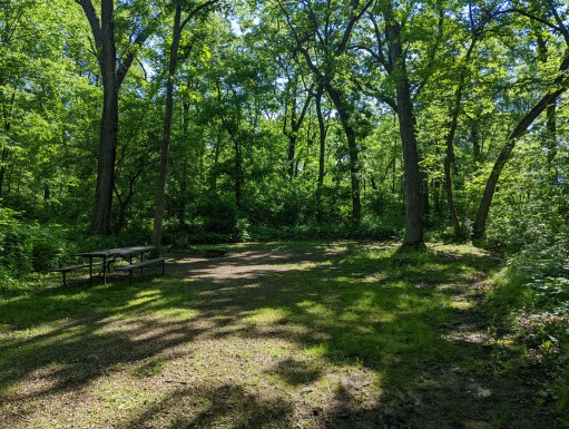 Site 12, photo 3 of 3 · from wisconsin.goingtocamp.com (the park's booking system)