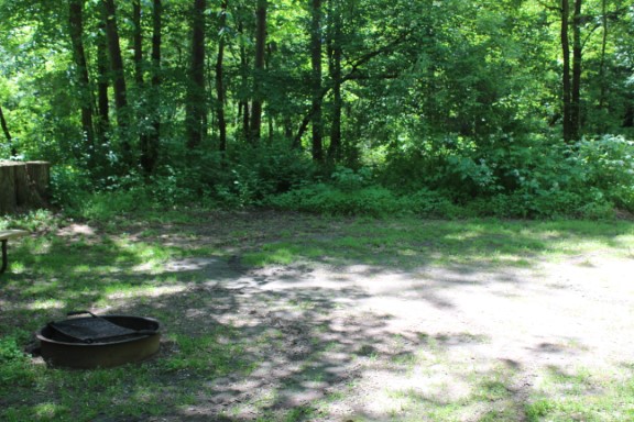 Site 3, photo 2 of 3 · from wisconsin.goingtocamp.com (the park's booking system)