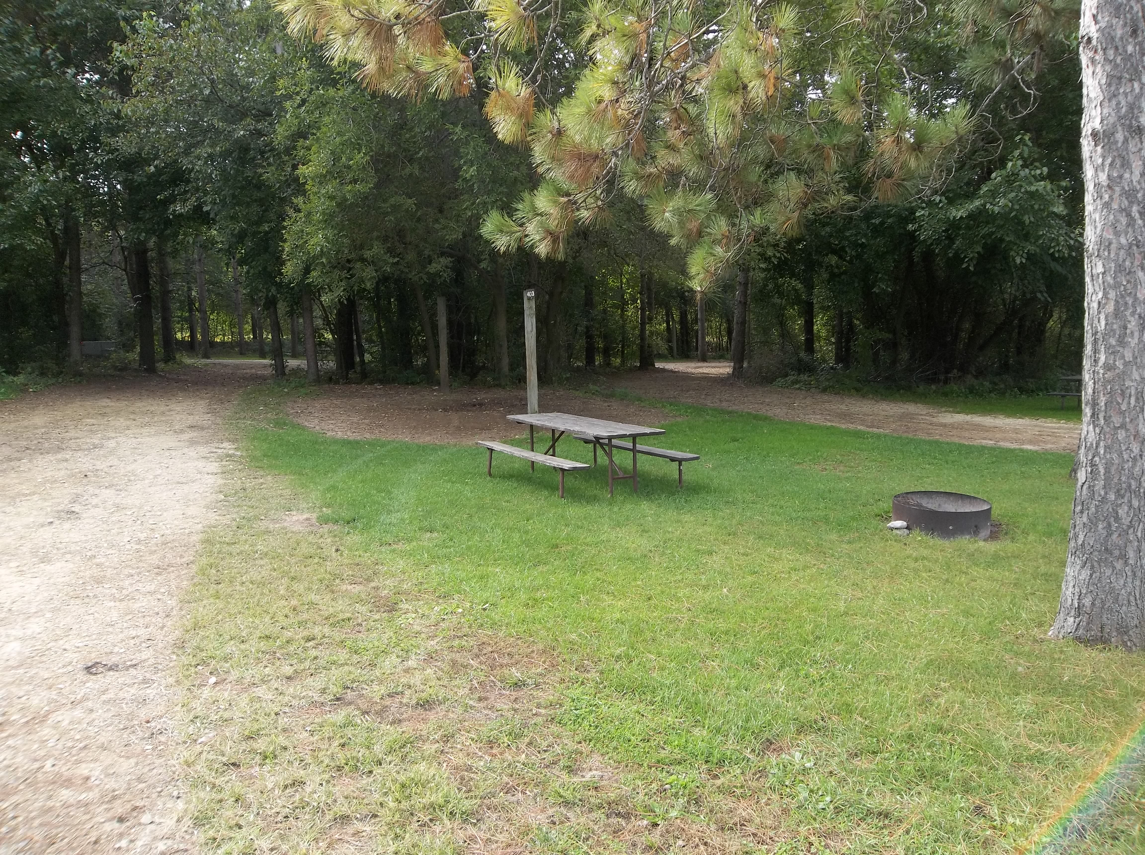 Site 403, photo 2 of 3 · from wisconsin.goingtocamp.com (the park's booking system)