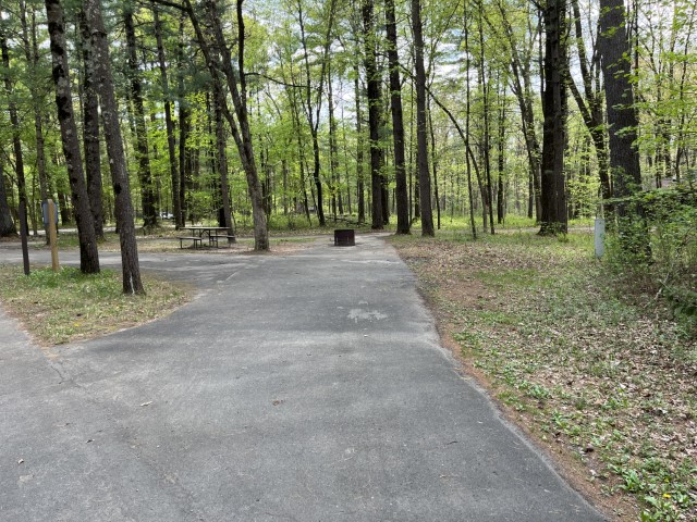 Site 21, photo 2 of 3 · from wisconsin.goingtocamp.com (the park's booking system)