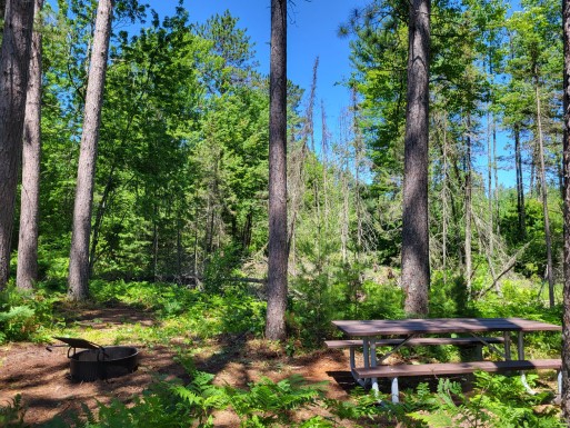 Site R1, photo 2 of 3 · from wisconsin.goingtocamp.com (the park's booking system)