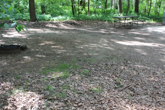 Site 79, photo 3 of 3 · from wisconsin.goingtocamp.com (the park's booking system)