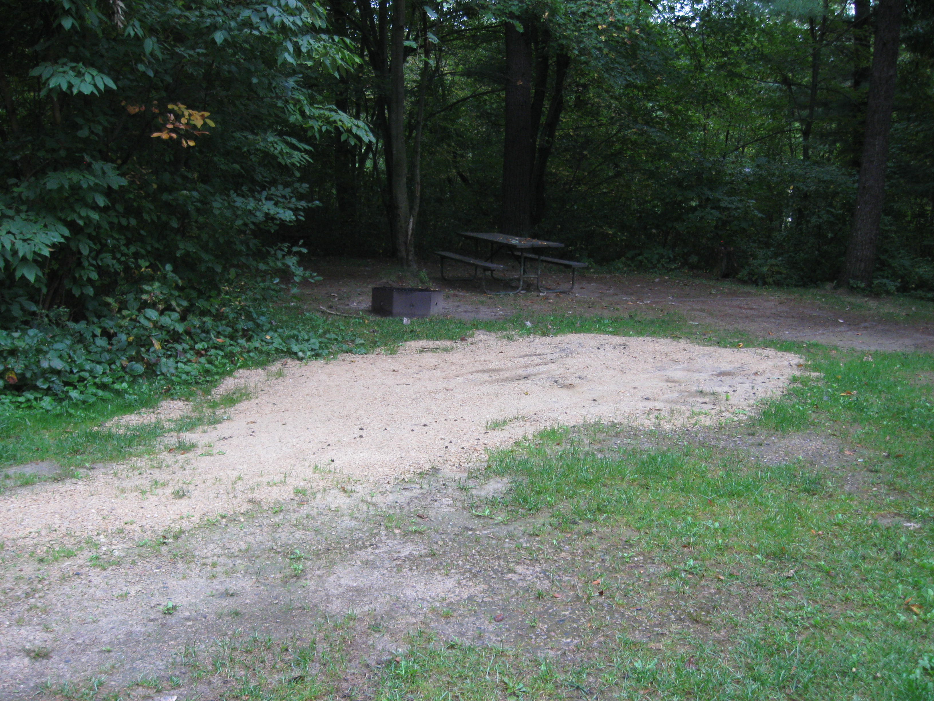 Site 40, photo 2 of 2 · from wisconsin.goingtocamp.com (the park's booking system)