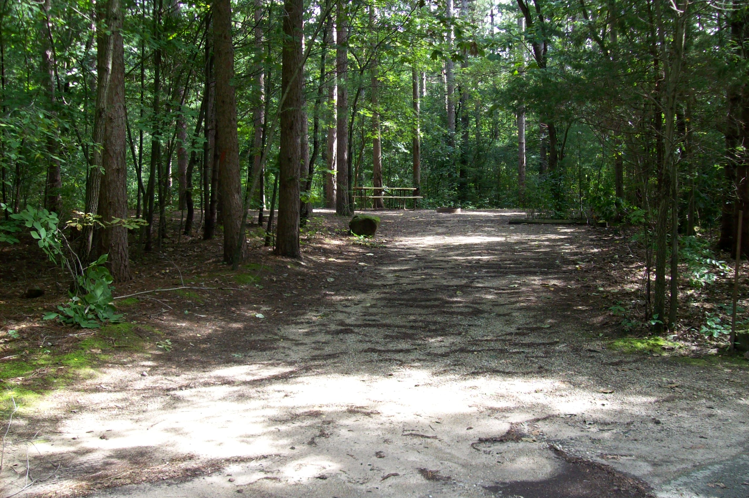 Site 286, photo 2 of 3 · from wisconsin.goingtocamp.com (the park's booking system)