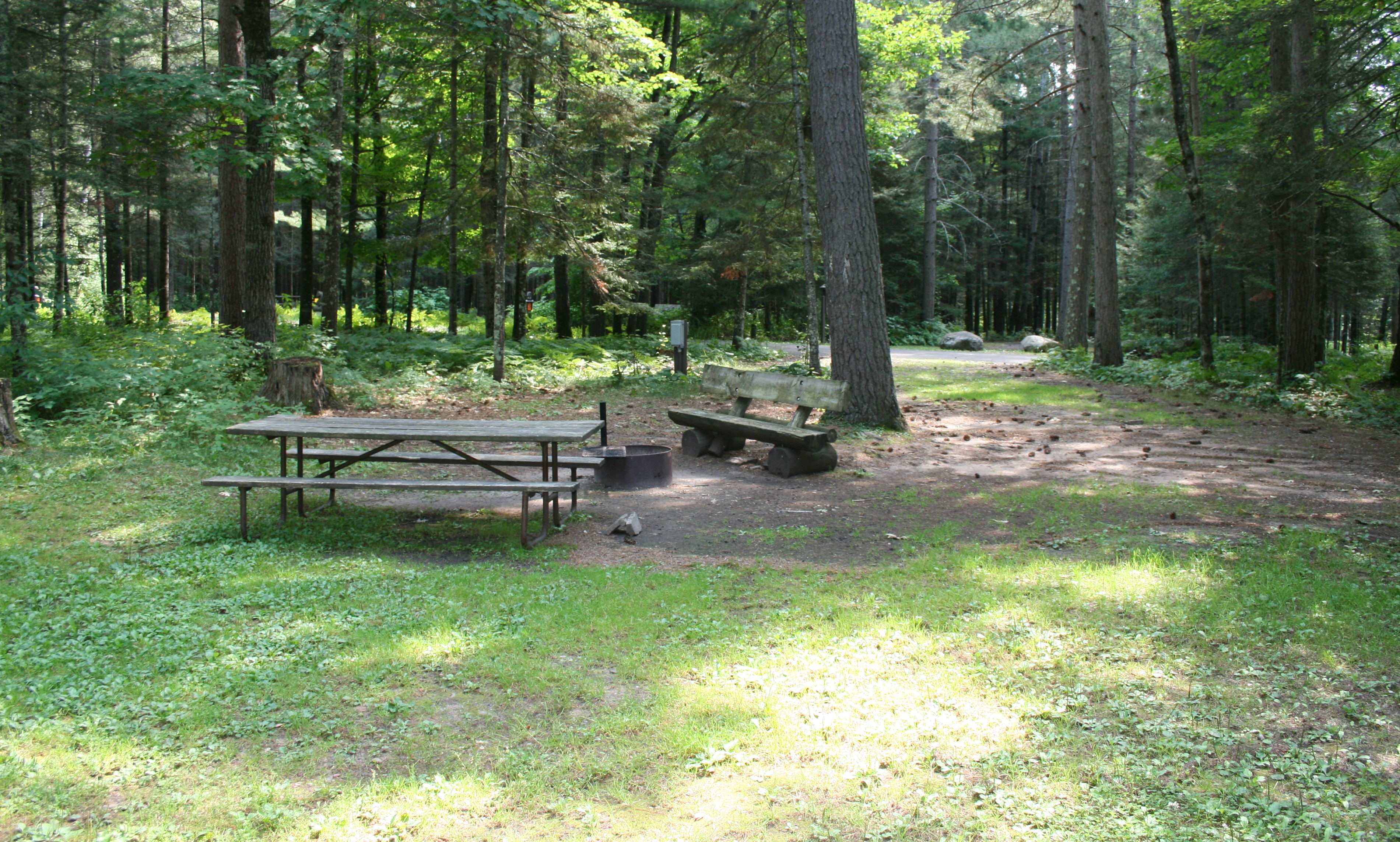 Site 41, photo 3 of 3 · from wisconsin.goingtocamp.com (the park's booking system)
